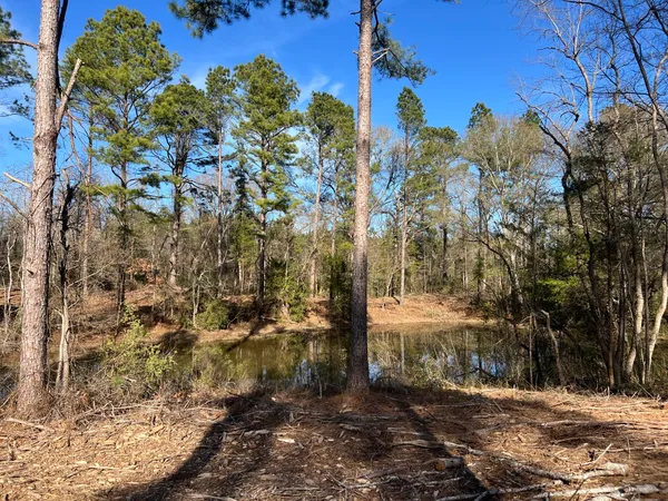$116,250 | 4037 County Road 4037, Timpson, TX 75975