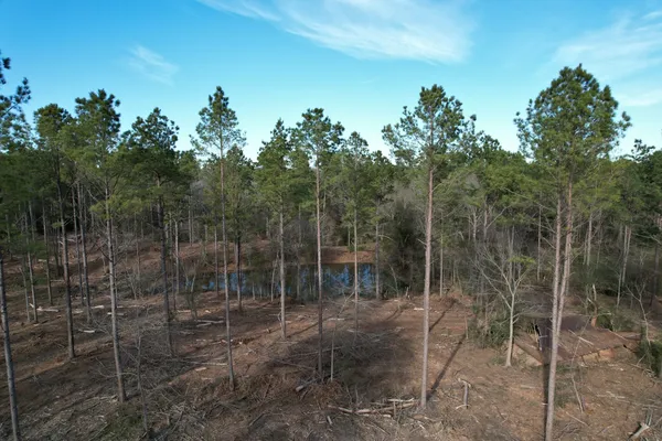 $116,250 | 4037 County Road 4037, Timpson, TX 75975