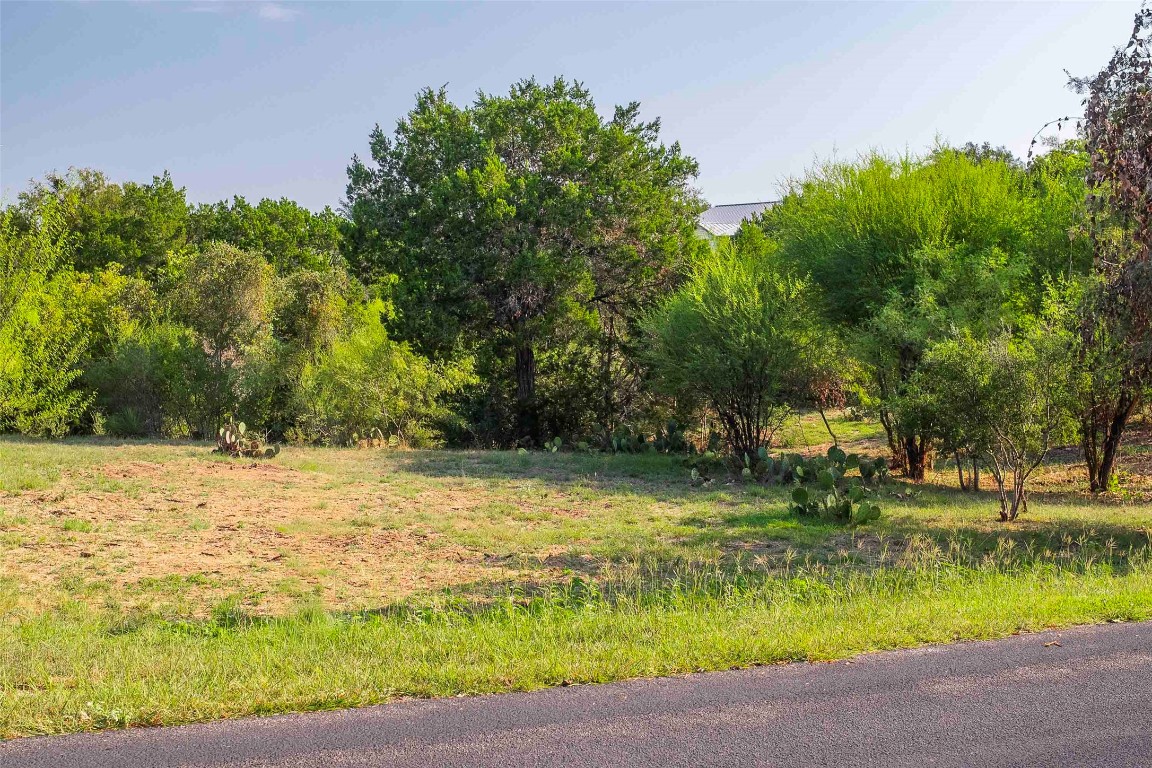 Lot 64 Wesley Ridge Drive Spicewood, TX 78669 - Photo 11 of 32 a view of a yard with a fountain