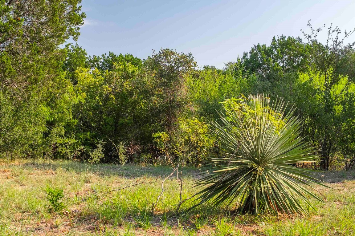 Lot 64 Wesley Ridge Drive Spicewood, TX 78669 - Photo 13 of 32