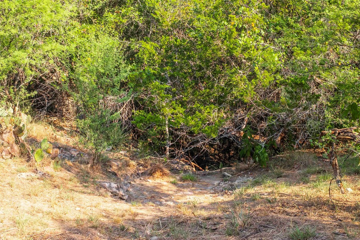 Lot 64 Wesley Ridge Drive Spicewood, TX 78669 - Photo 14 of 32