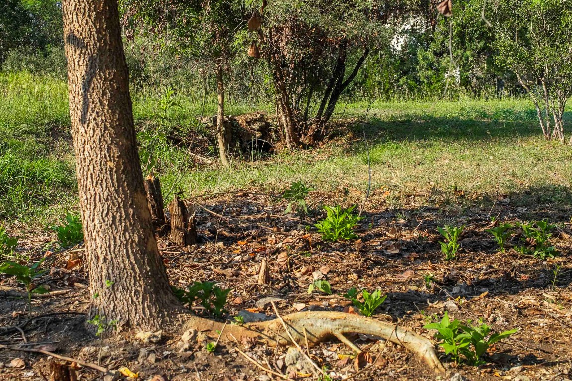 Lot 64 Wesley Ridge Drive Spicewood, TX 78669 - Photo 15 of 32 a view of a garden with a tree