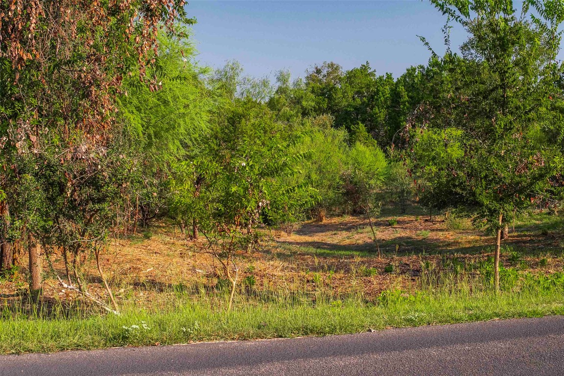 Lot 64 Wesley Ridge Drive Spicewood, TX 78669 - Photo 19 of 32 a view of a yard with an trees