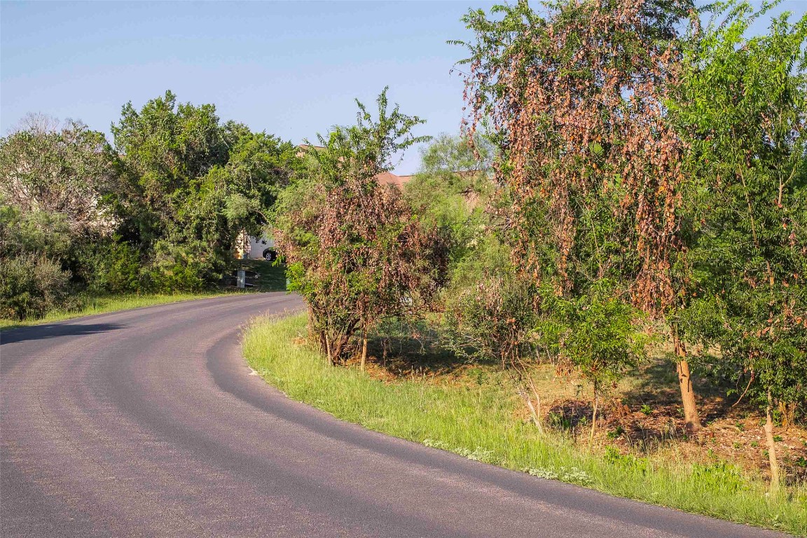 Lot 64 Wesley Ridge Drive Spicewood, TX 78669 - Photo 22 of 32 a view of a garden with an outdoor space