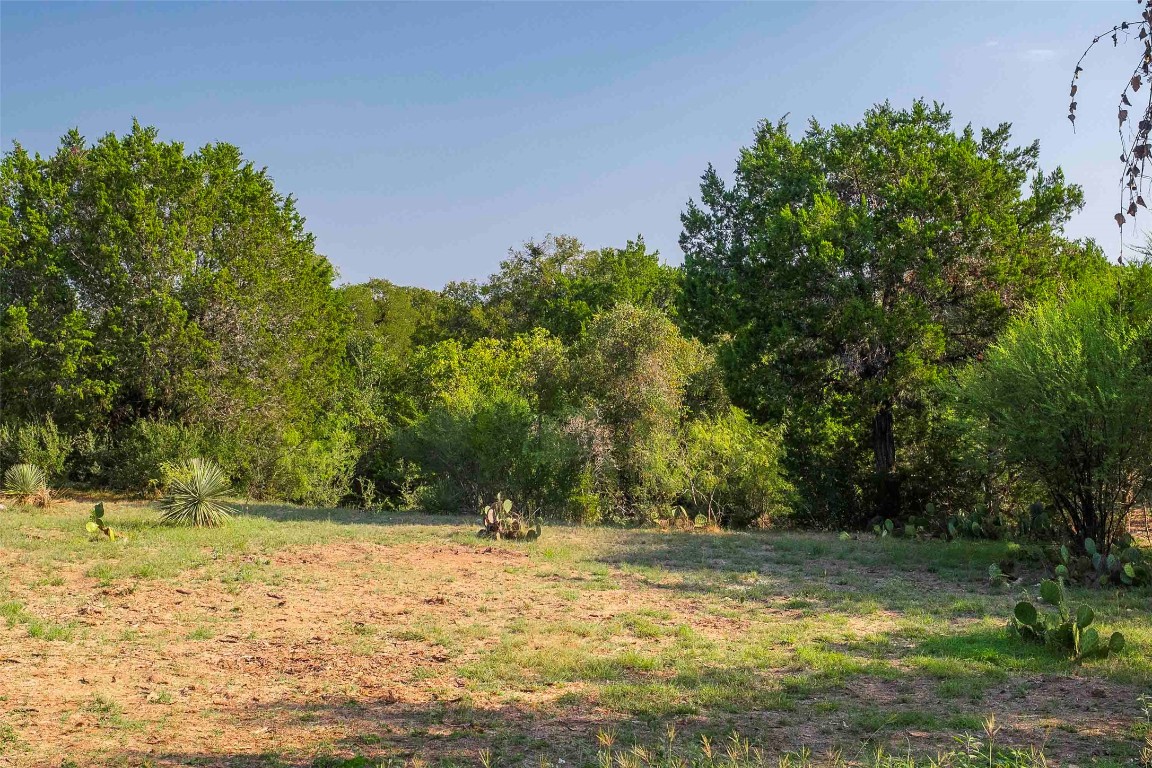 Lot 64 Wesley Ridge Drive Spicewood, TX 78669 - Photo 10 of 32 a view of a yard with a tree