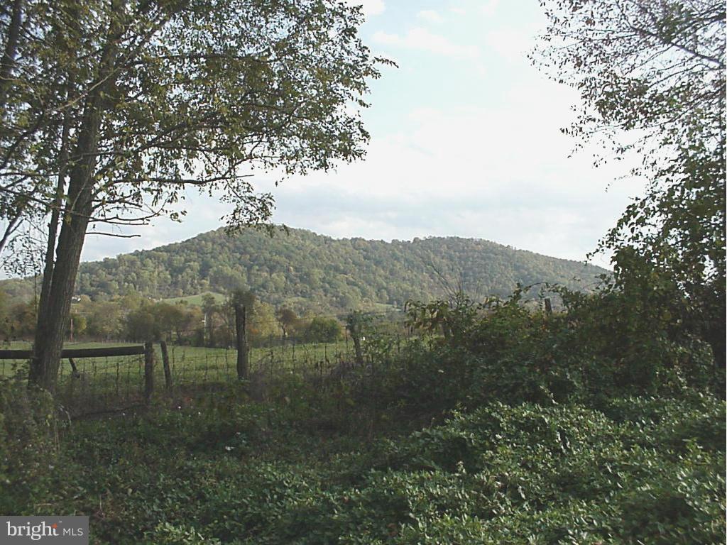 858 Fodderstack Road Flint Hill, VA 22627 - Photo 3 of 7 View