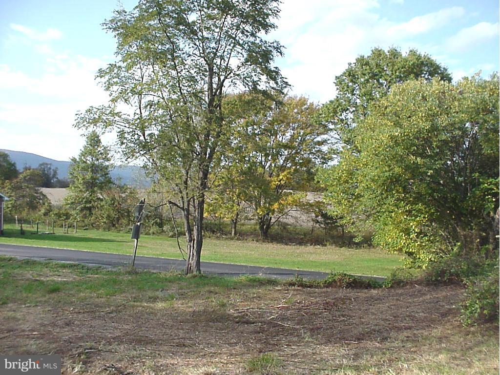 858 Fodderstack Road Flint Hill, VA 22627 - Photo 7 of 7 View