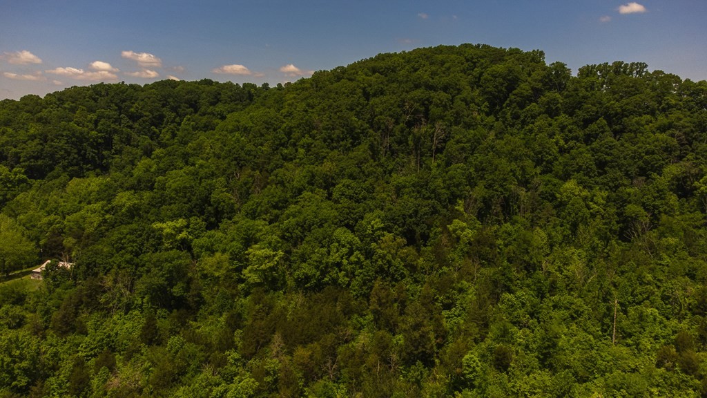468 Co Road Englewood, TN 37329 - Photo 18 of 33