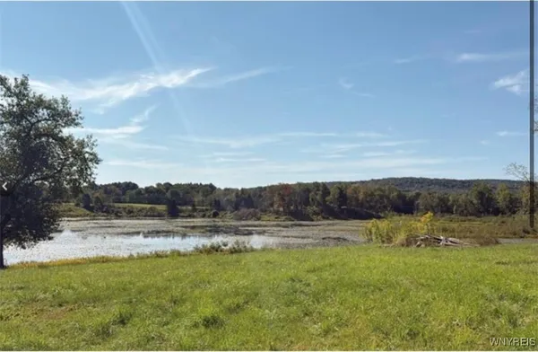 $87,500 | 3585 Roszyk Hill Road, Machias, NY 14101