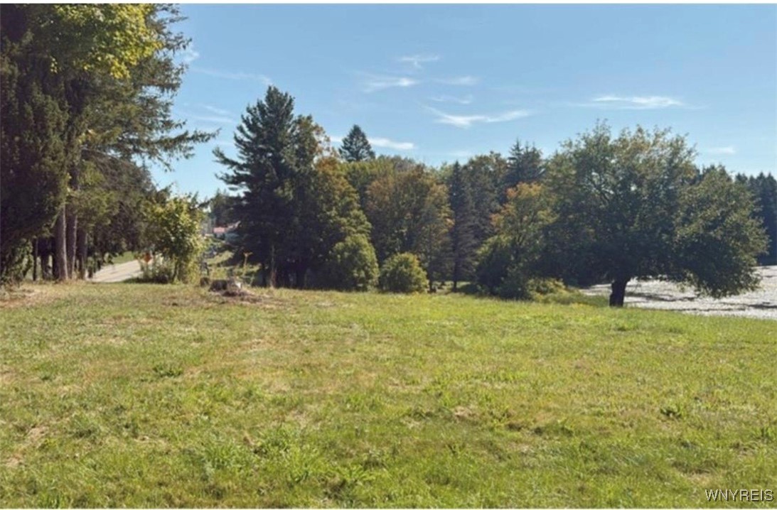 3585 Roszyk Hill Road Machias, NY 14101 - Photo 8 of 17