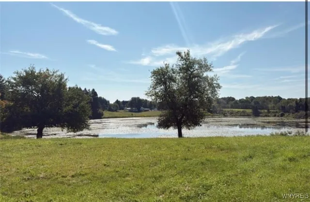 $95,000 | 3585 Roszyk Hill Road, Machias, NY 14101