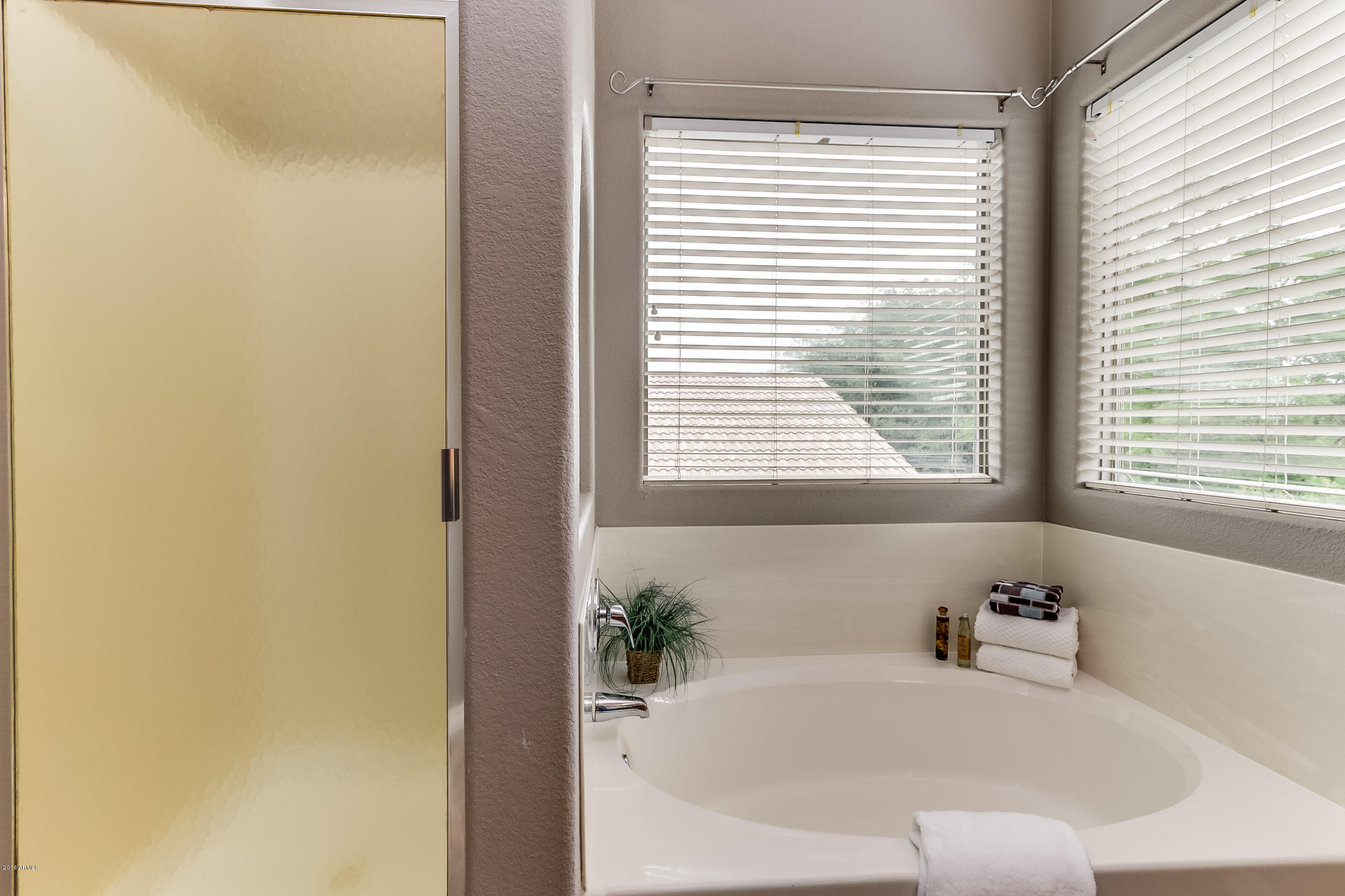 6422 West Briles Road Phoenix, AZ 85083 - Photo 46 of 65 Master Bath