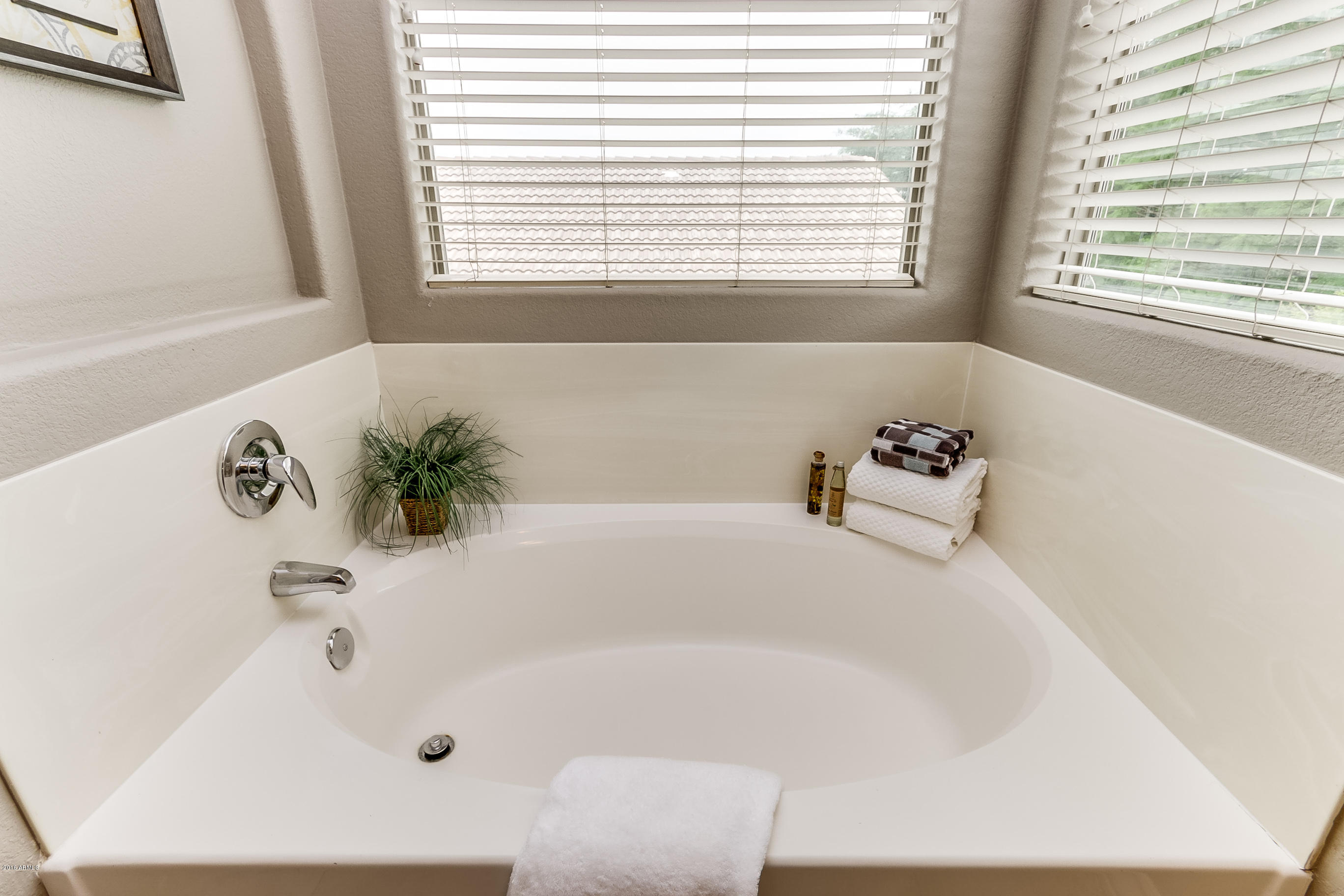 6422 West Briles Road Phoenix, AZ 85083 - Photo 47 of 65 Master Bath