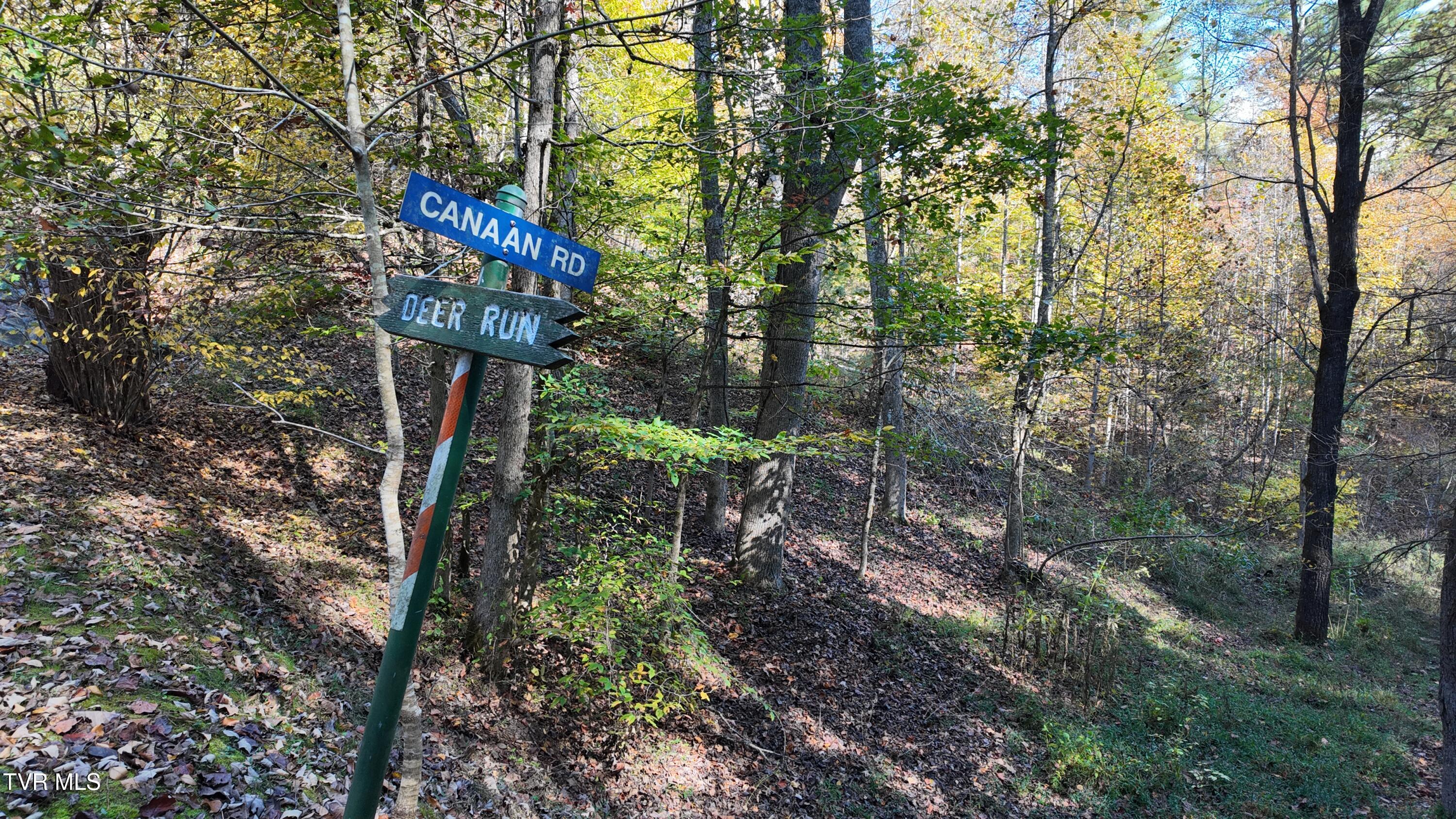 1 Canaan Road Butler, TN 37640 - Photo 11 of 87 dji_mimo_20251018_120808_20251018120808_