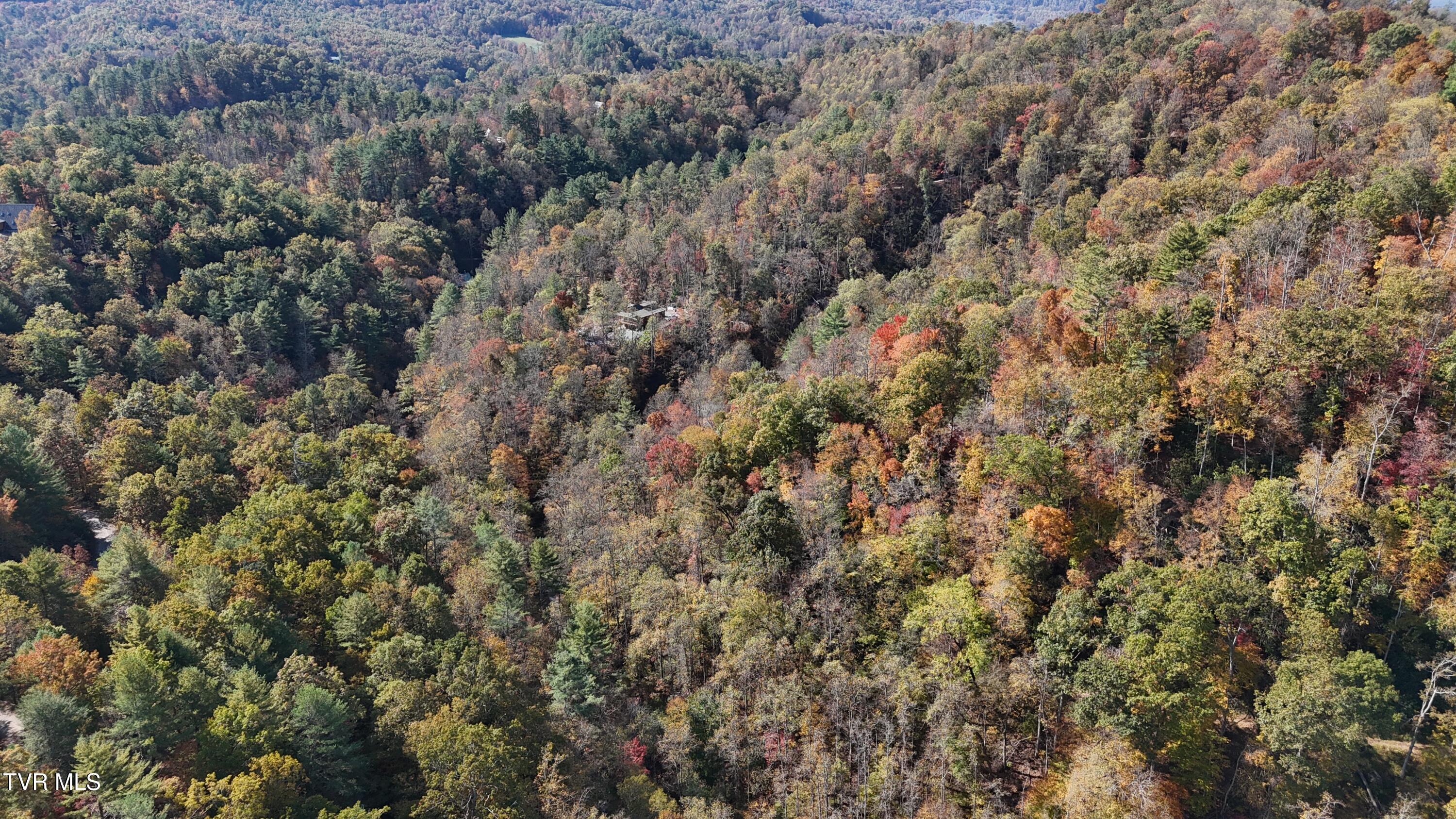 1 Canaan Road Butler, TN 37640 - Photo 17 of 87 dji_fly_20251018_120018_0276_17608030189