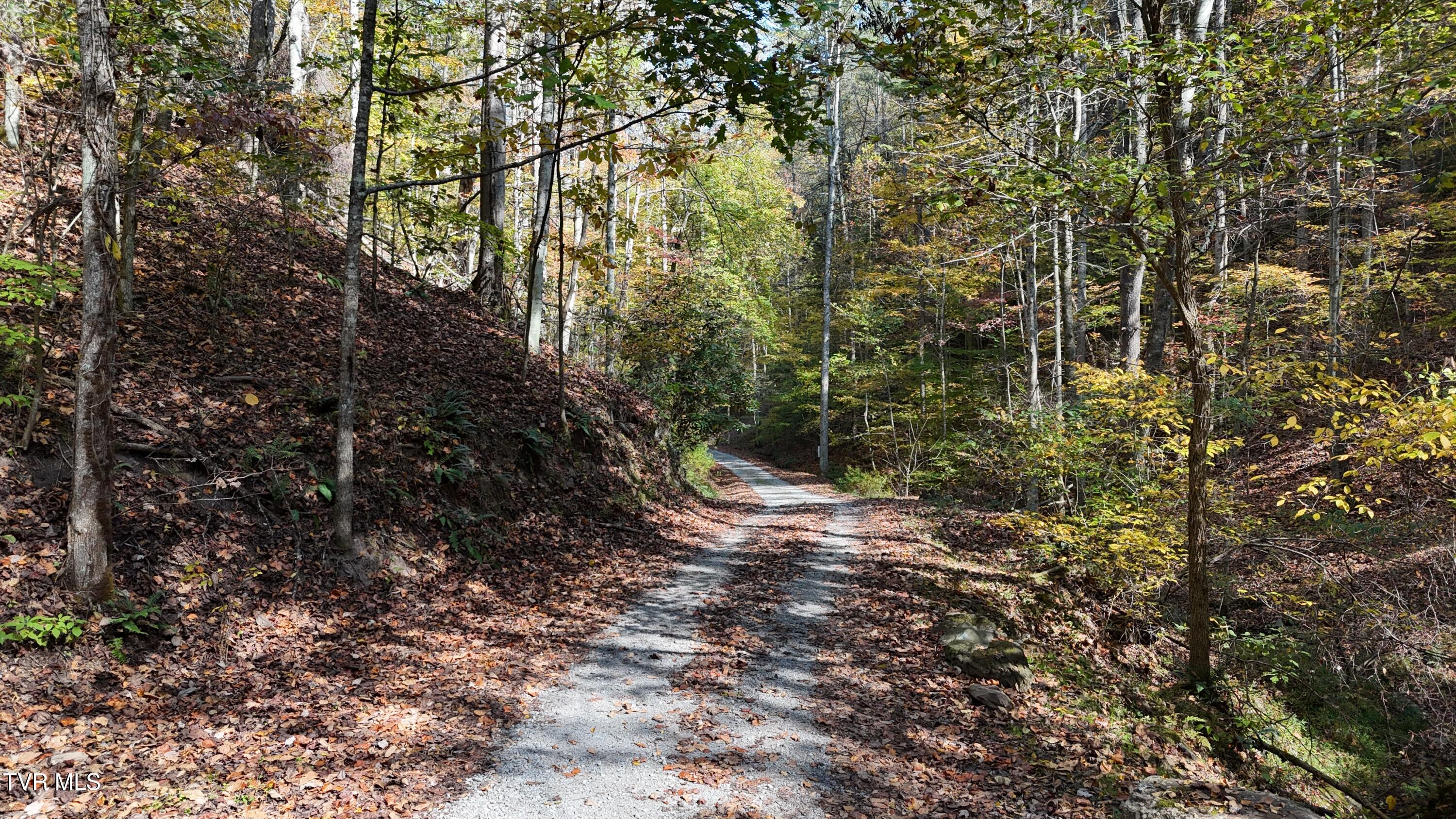 1 Canaan Road Butler, TN 37640 - Photo 18 of 87 dji_fly_20251018_120106_0277_17608030184