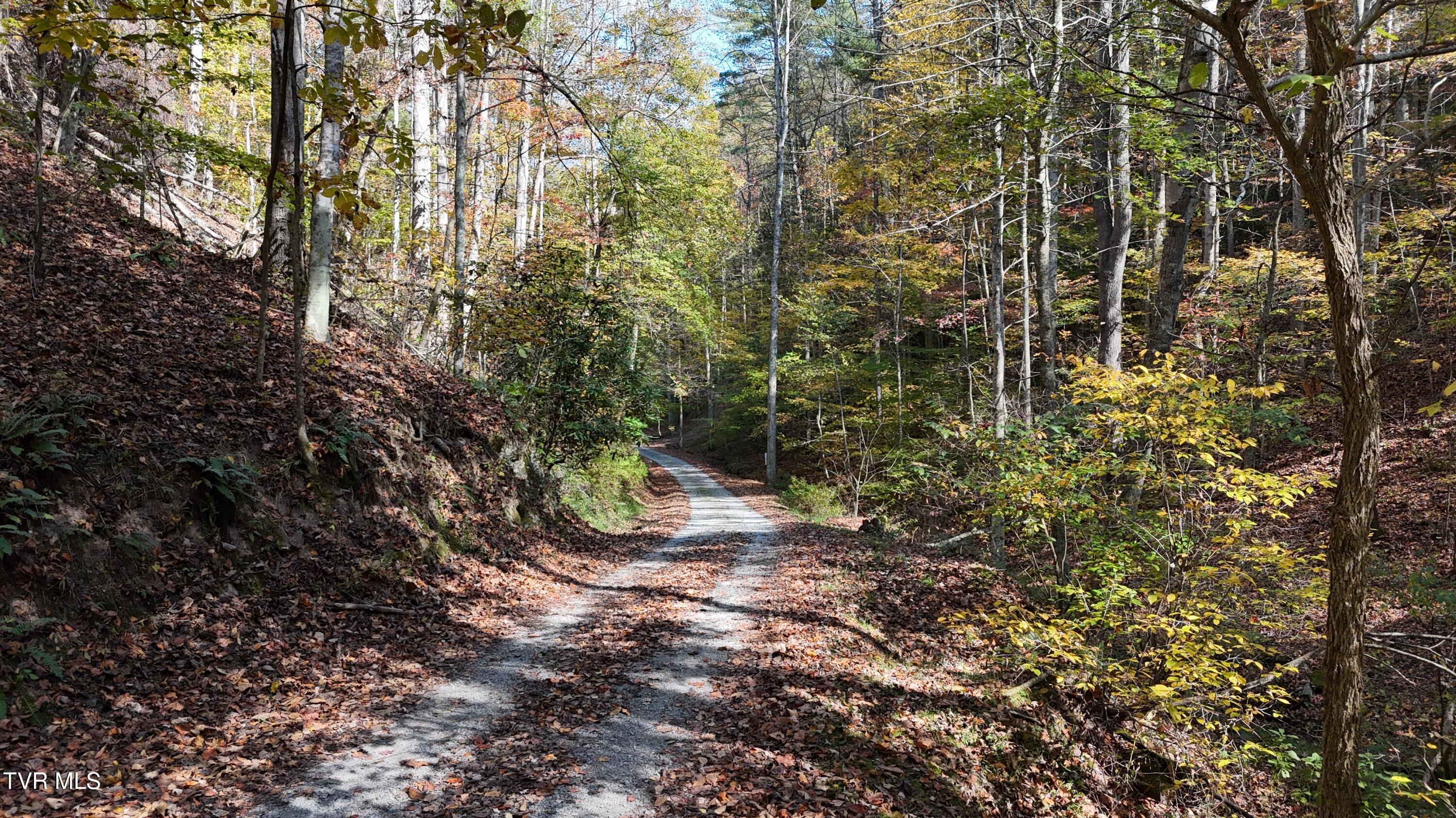 1 Canaan Road Butler, TN 37640 - Photo 19 of 87 dji_fly_20251018_120112_0278_17608030179