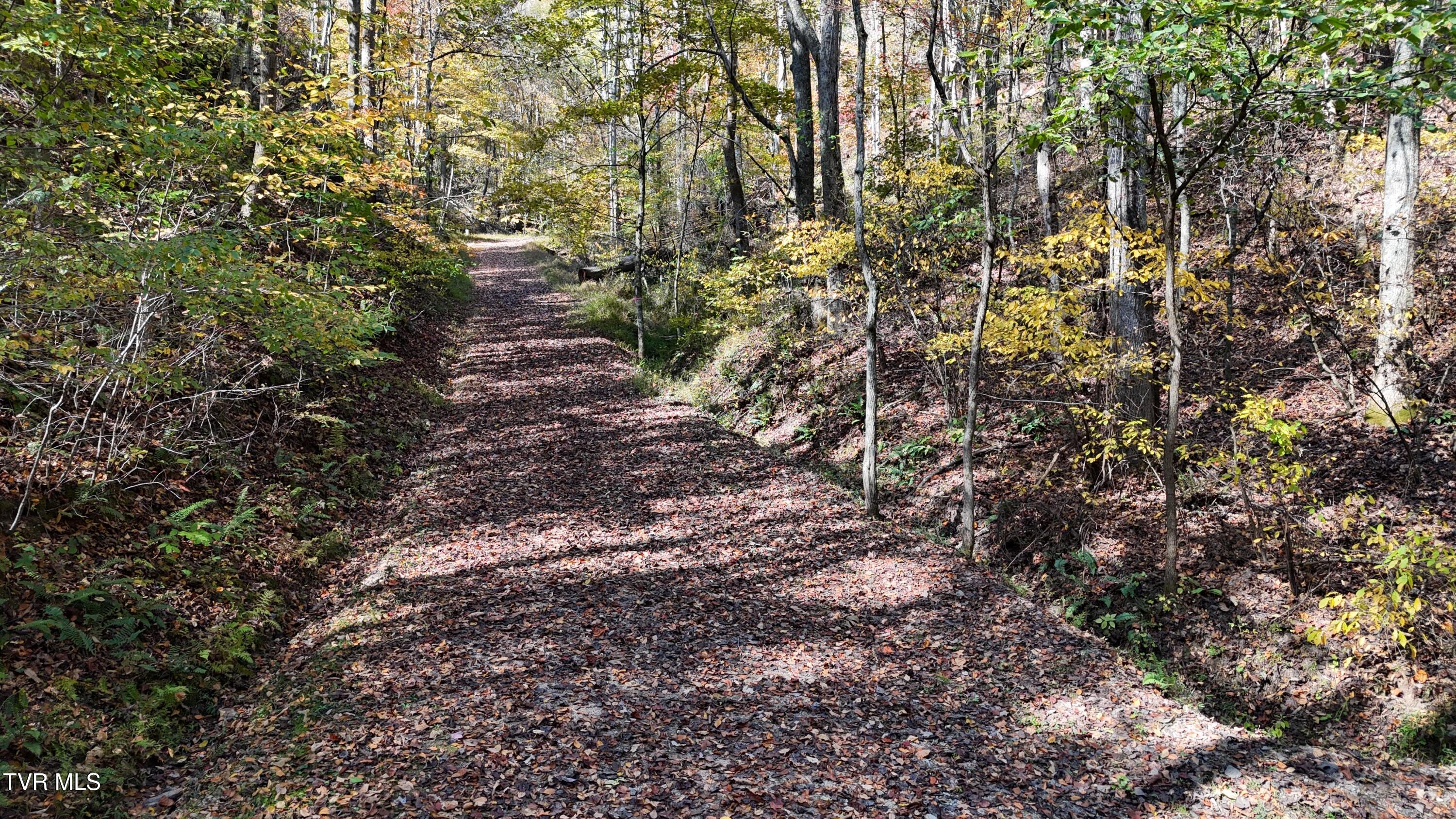 1 Canaan Road Butler, TN 37640 - Photo 21 of 87 dji_fly_20251018_120142_0280_17608030168