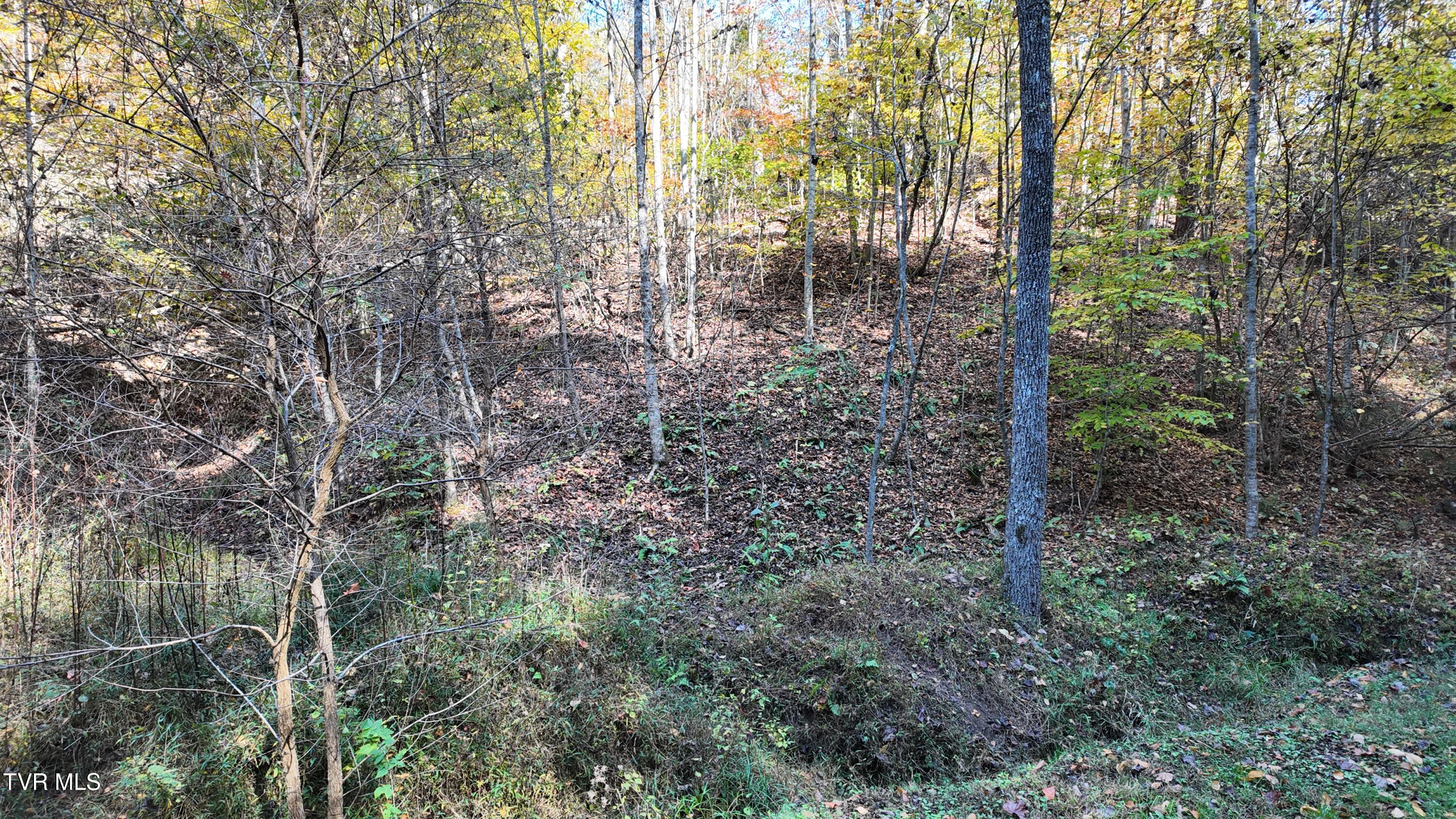 1 Canaan Road Butler, TN 37640 - Photo 28 of 87 dji_mimo_20251018_120606_20251018120606_