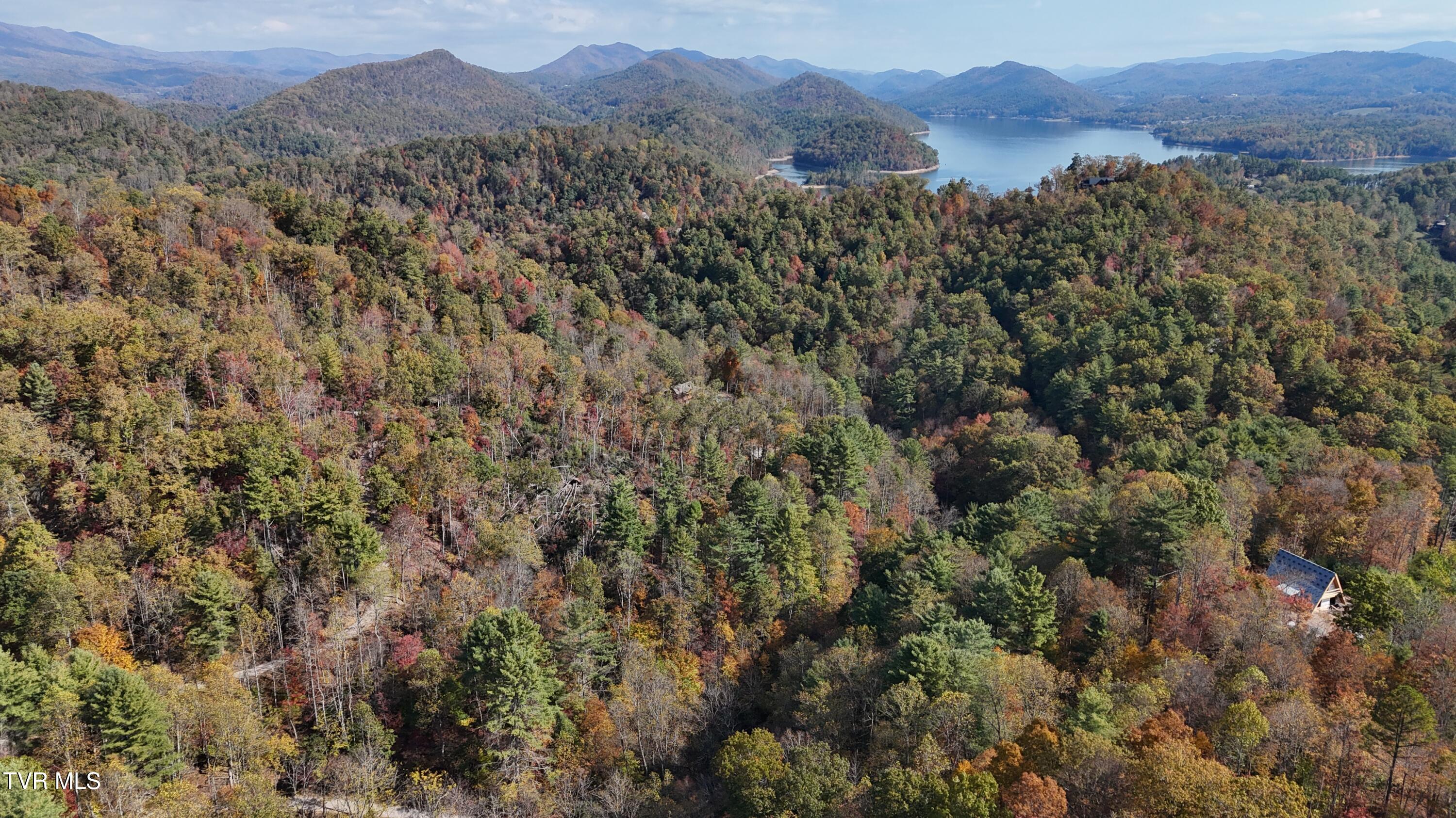 1 Canaan Road Butler, TN 37640 - Photo 30 of 87 dji_fly_20251018_115526_0260_17608030271