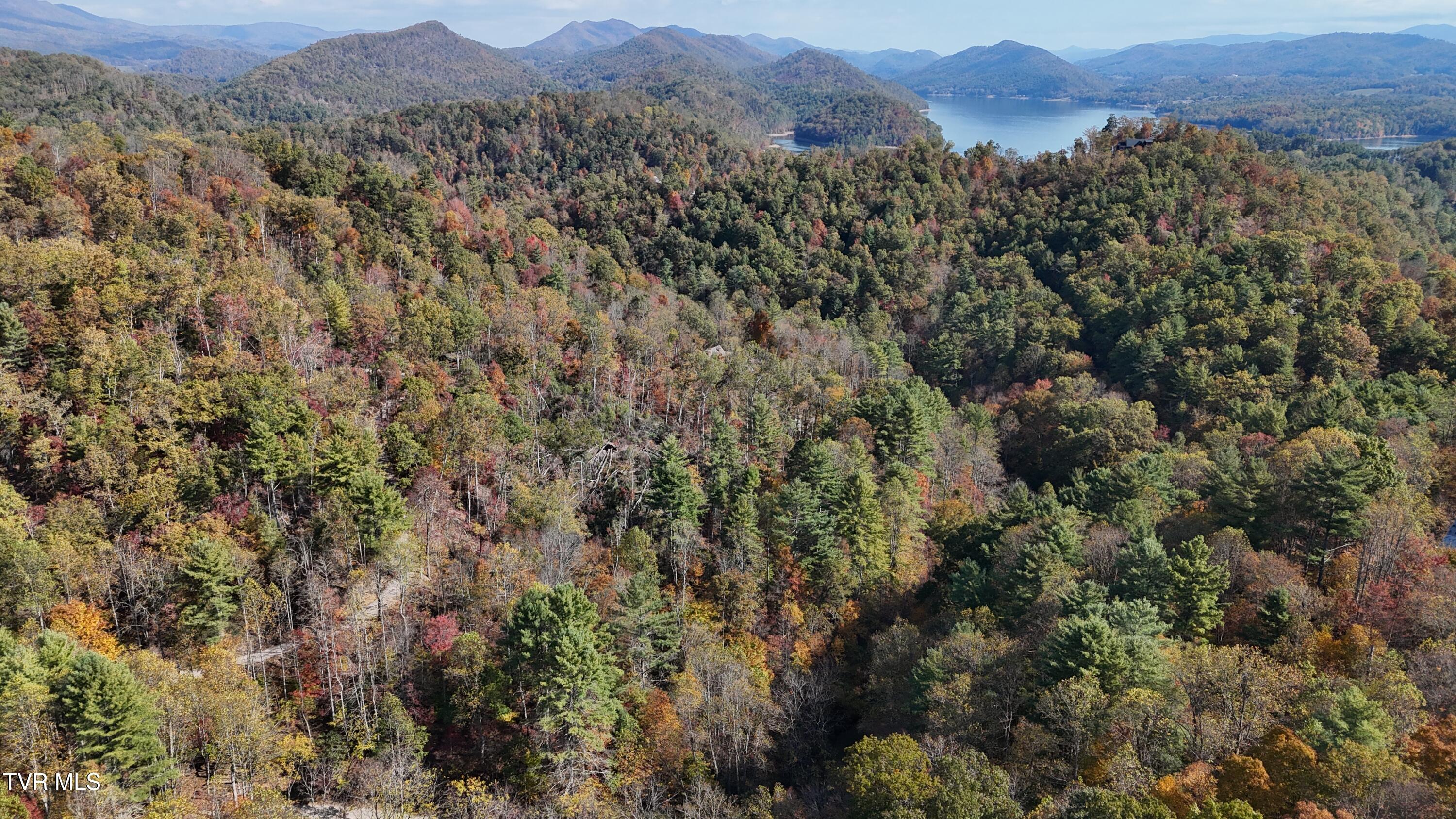 1 Canaan Road Butler, TN 37640 - Photo 31 of 87 dji_fly_20251018_115534_0261_17608030265