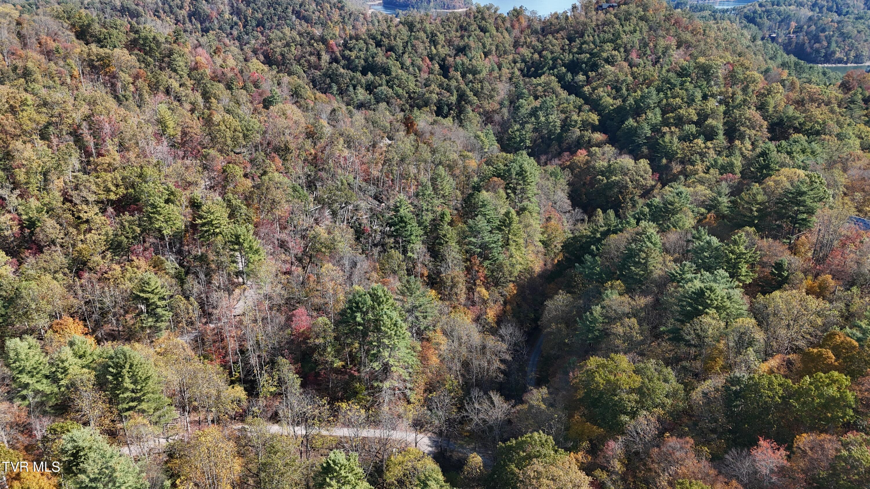 1 Canaan Road Butler, TN 37640 - Photo 32 of 87 dji_fly_20251018_115542_0262_17608030260