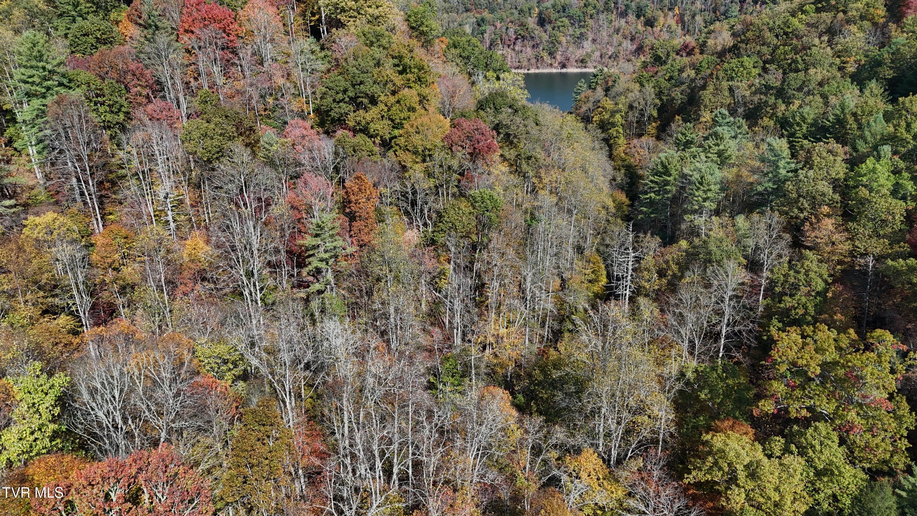 1 Canaan Road Butler, TN 37640 - Photo 34 of 87 dji_fly_20251018_115656_0264_17608030246