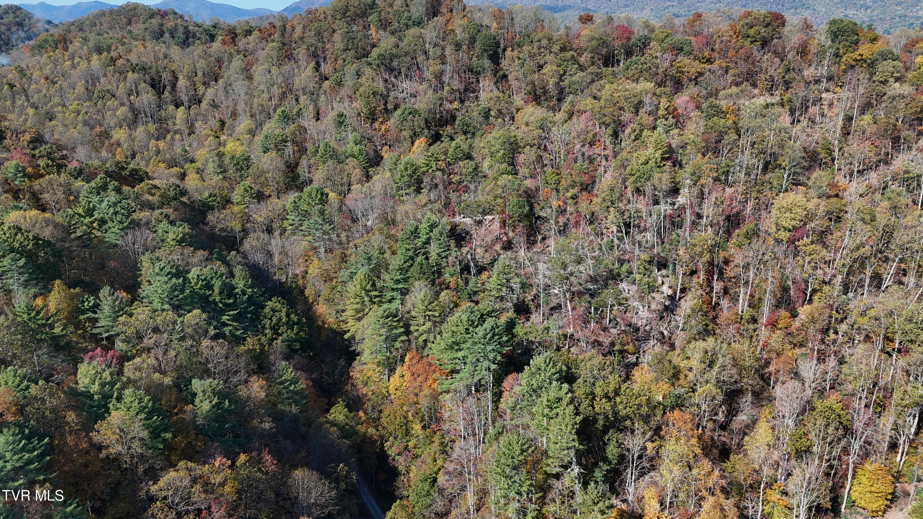 1 Canaan Road Butler, TN 37640 - Photo 42 of 87 dji_fly_20251018_115404_0255_17608030298