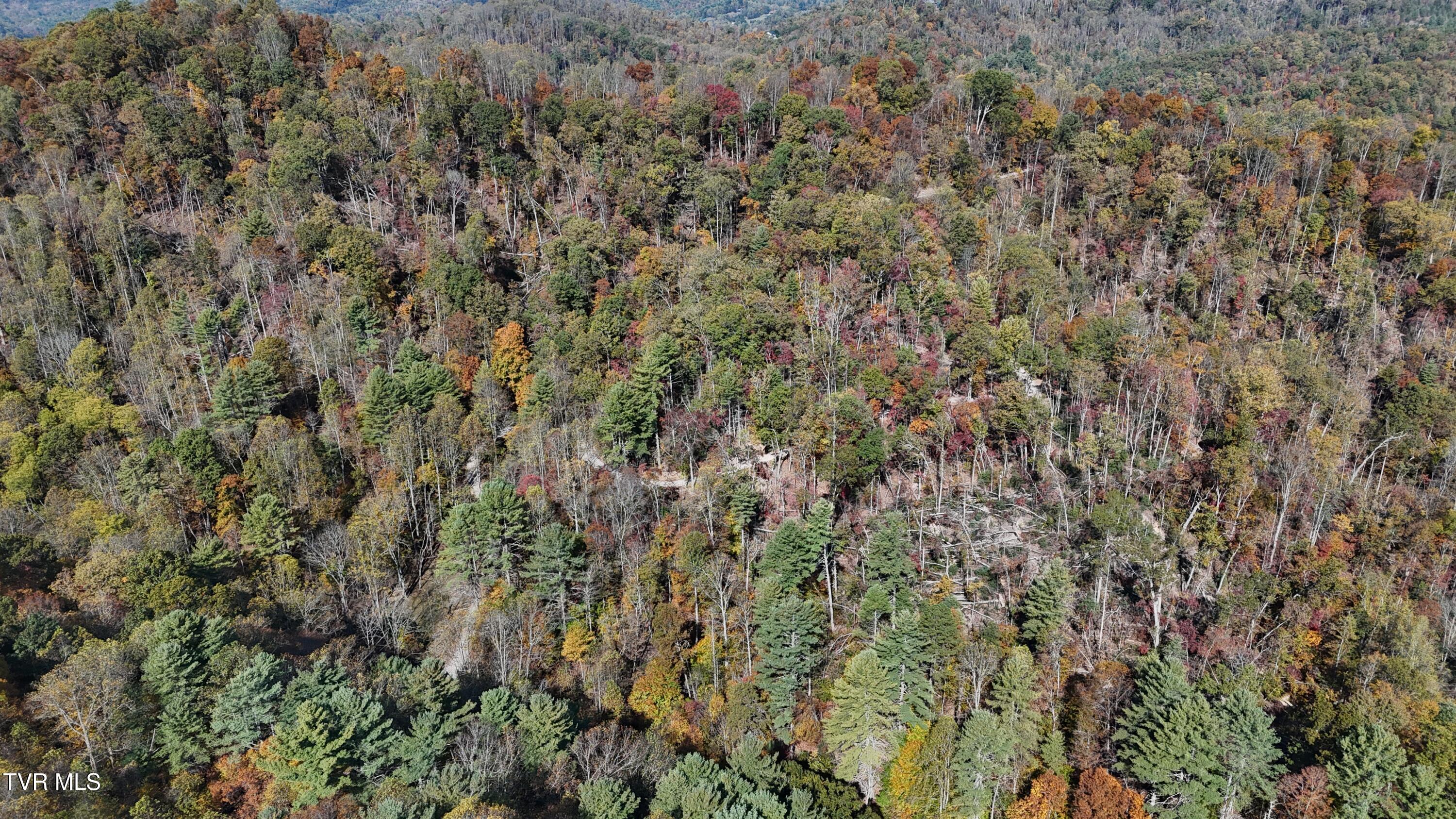 1 Canaan Road Butler, TN 37640 - Photo 44 of 87 dji_fly_20251018_115430_0257_17608030289