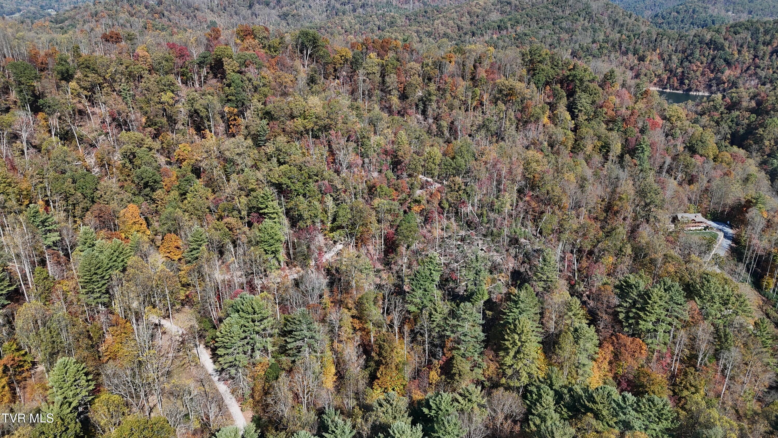 1 Canaan Road Butler, TN 37640 - Photo 45 of 87 dji_fly_20251018_115446_0258_17608030282