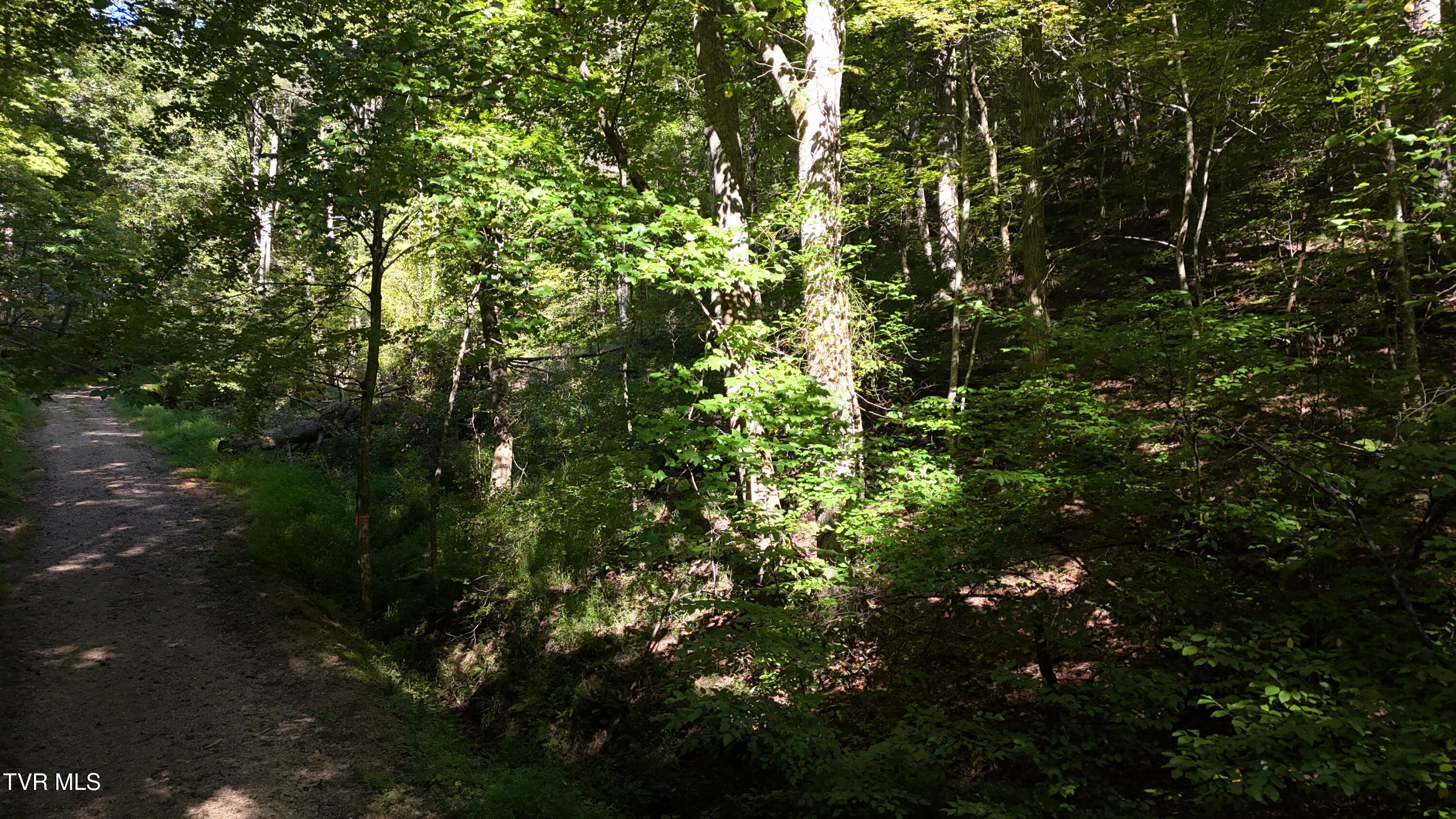 1 Canaan Road Butler, TN 37640 - Photo 47 of 87 dji_fly_20250827_101526_0528_17563182647