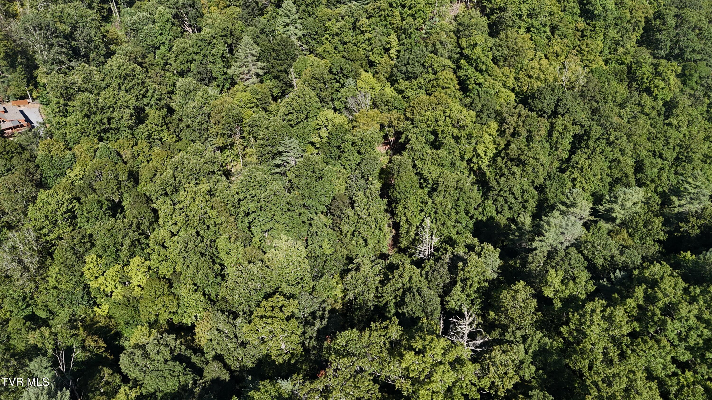 1 Canaan Road Butler, TN 37640 - Photo 48 of 87 dji_fly_20250827_101614_0529_17563182643