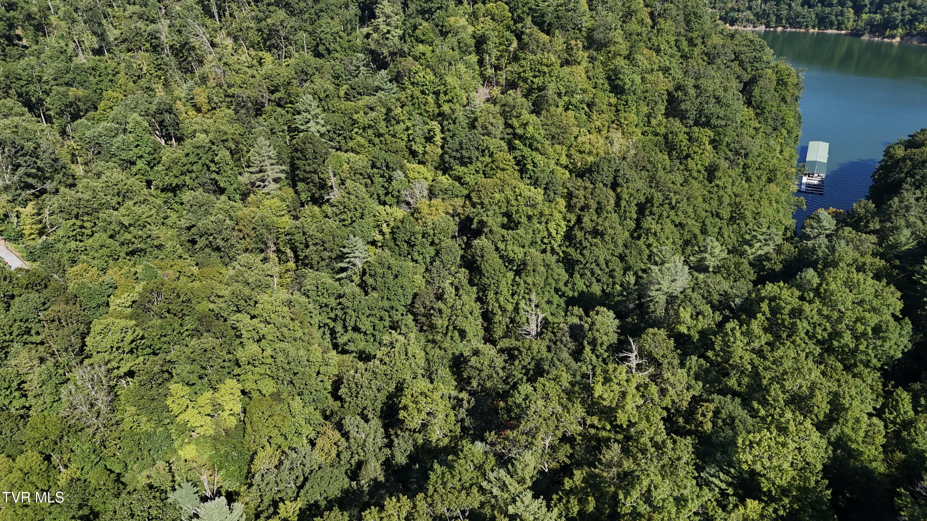 1 Canaan Road Butler, TN 37640 - Photo 49 of 87 dji_fly_20250827_101622_0530_17563182639