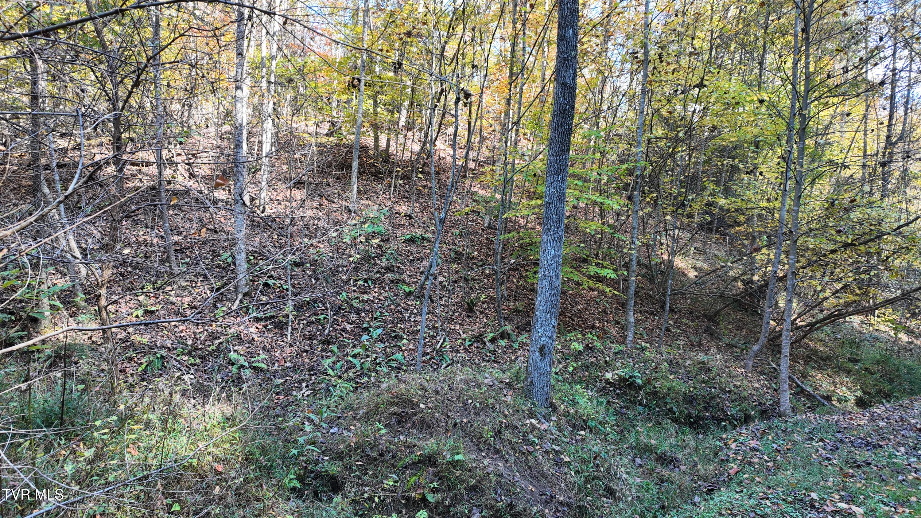 1 Canaan Road Butler, TN 37640 - Photo 5 of 87 dji_mimo_20251018_120630_20251018120630_