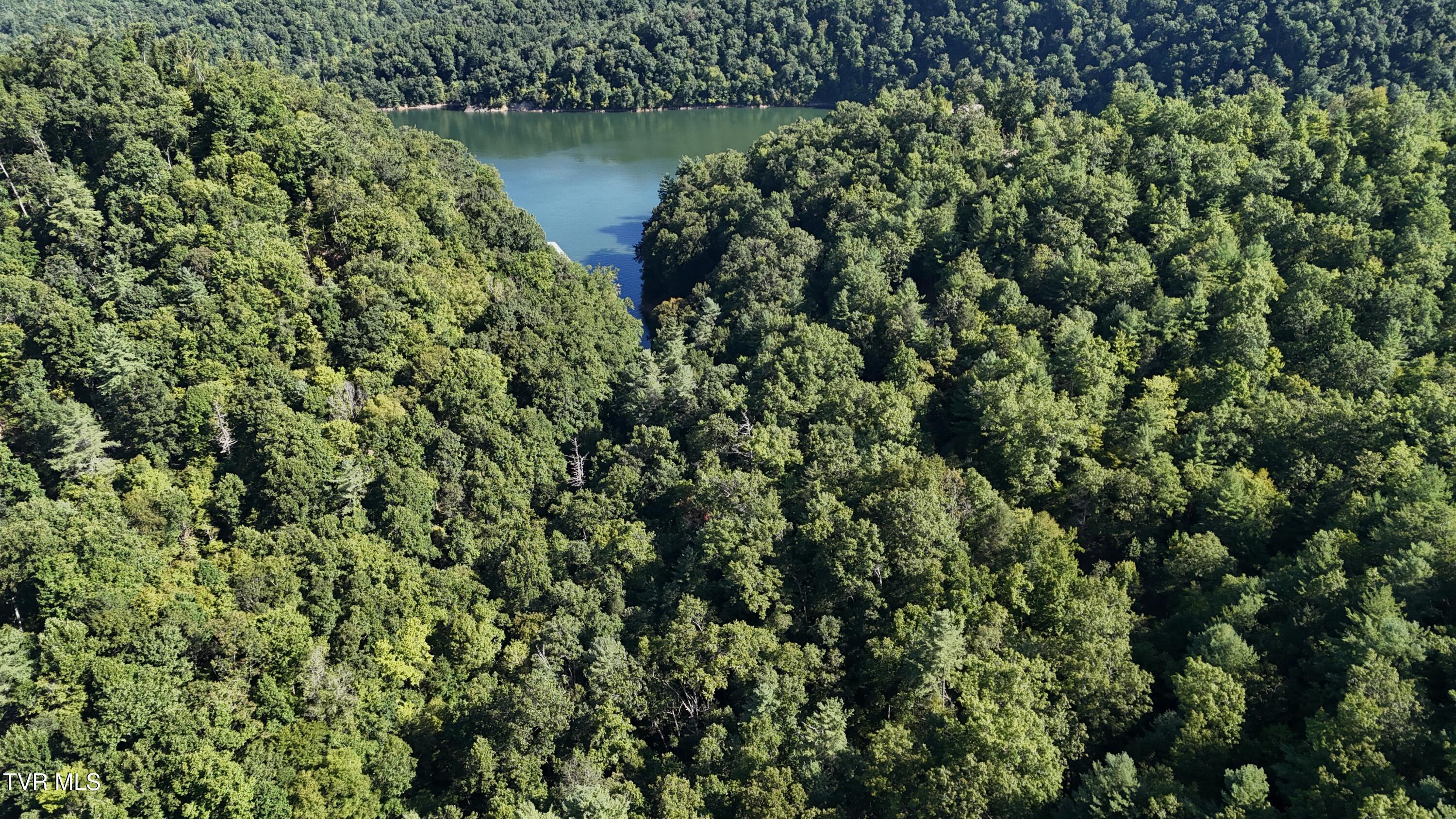 1 Canaan Road Butler, TN 37640 - Photo 52 of 87 dji_fly_20250827_101650_0533_17563182626