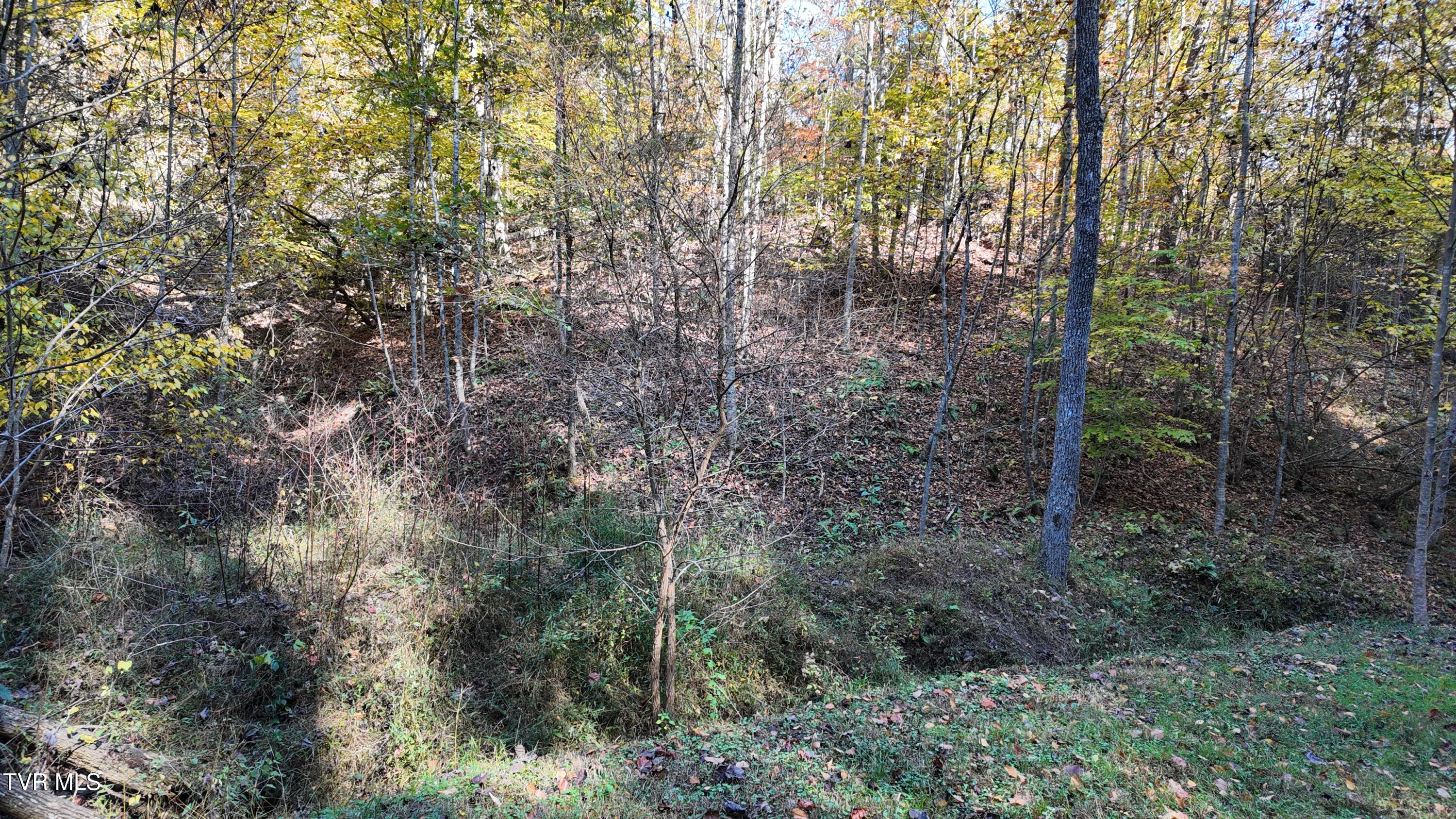 1 Canaan Road Butler, TN 37640 - Photo 6 of 87 dji_mimo_20251018_120636_20251018120636_