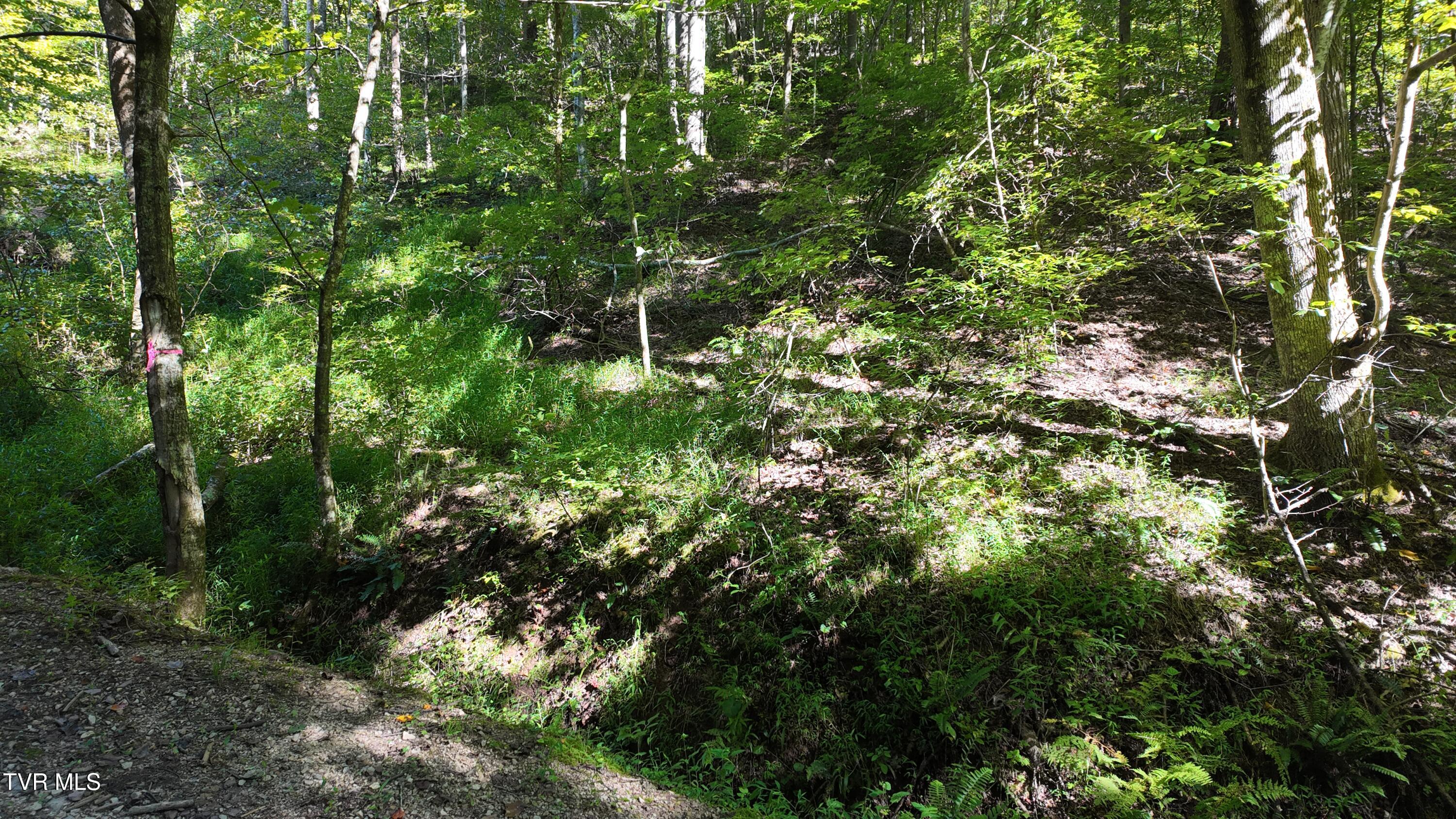 1 Canaan Road Butler, TN 37640 - Photo 66 of 87 dji_mimo_20250827_101110_20250827101109_