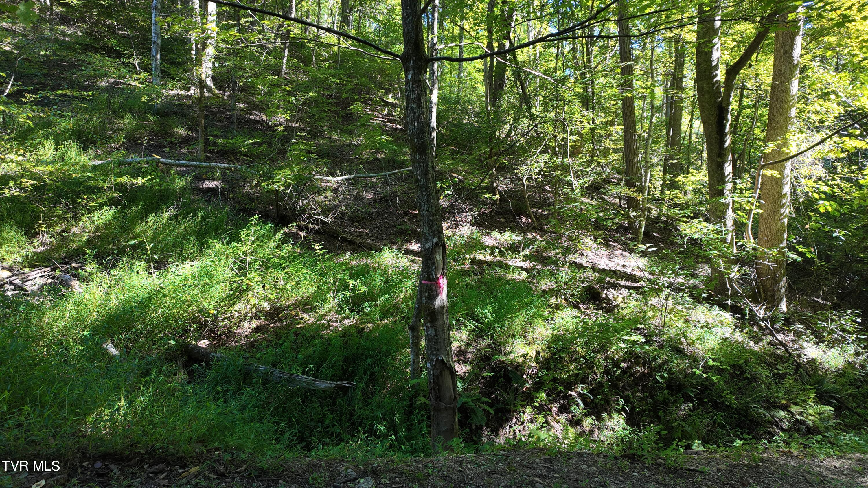 1 Canaan Road Butler, TN 37640 - Photo 68 of 87 dji_mimo_20250827_101124_20250827101124_