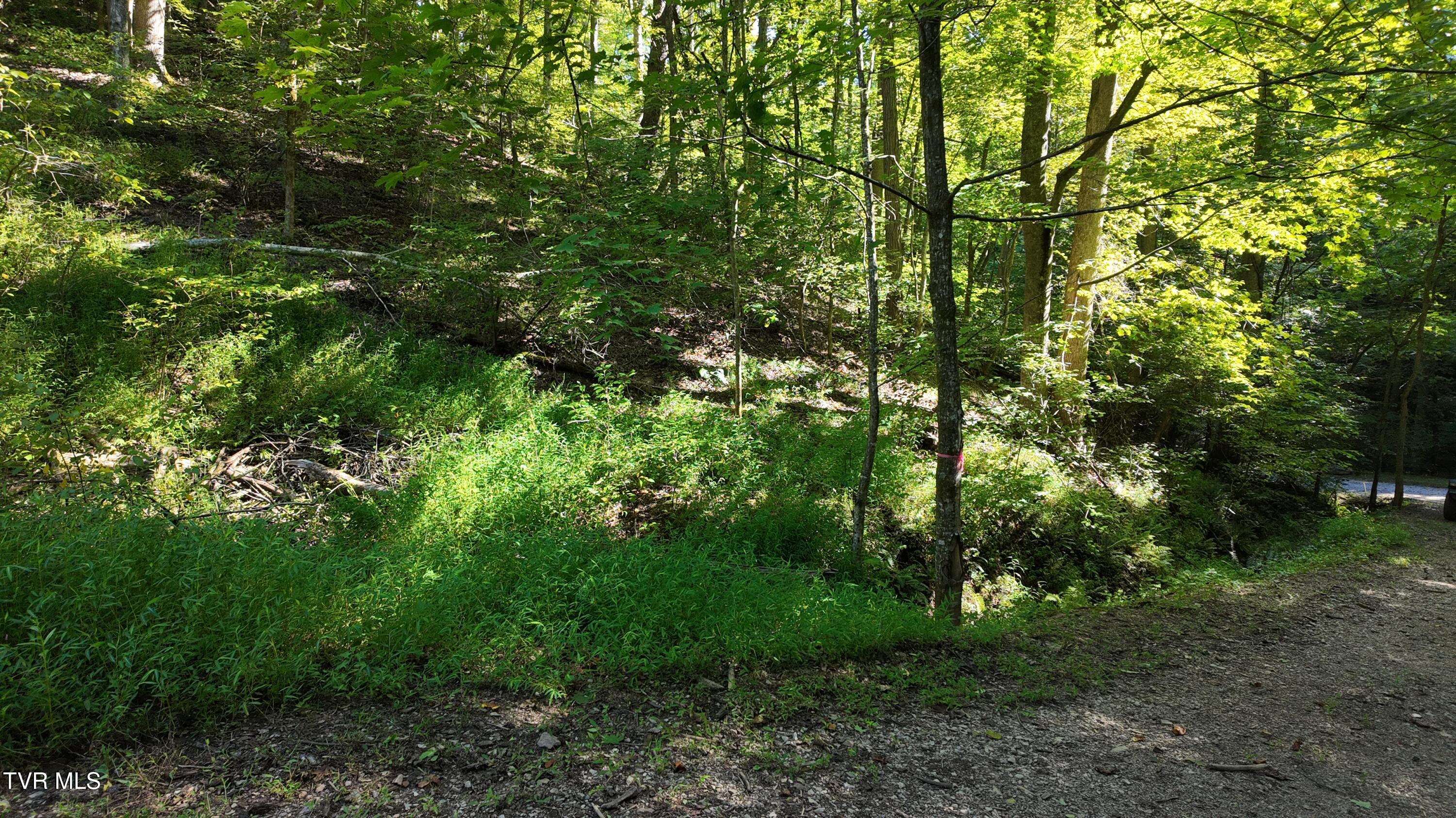 1 Canaan Road Butler, TN 37640 - Photo 69 of 87 dji_mimo_20250827_101134_20250827101135_