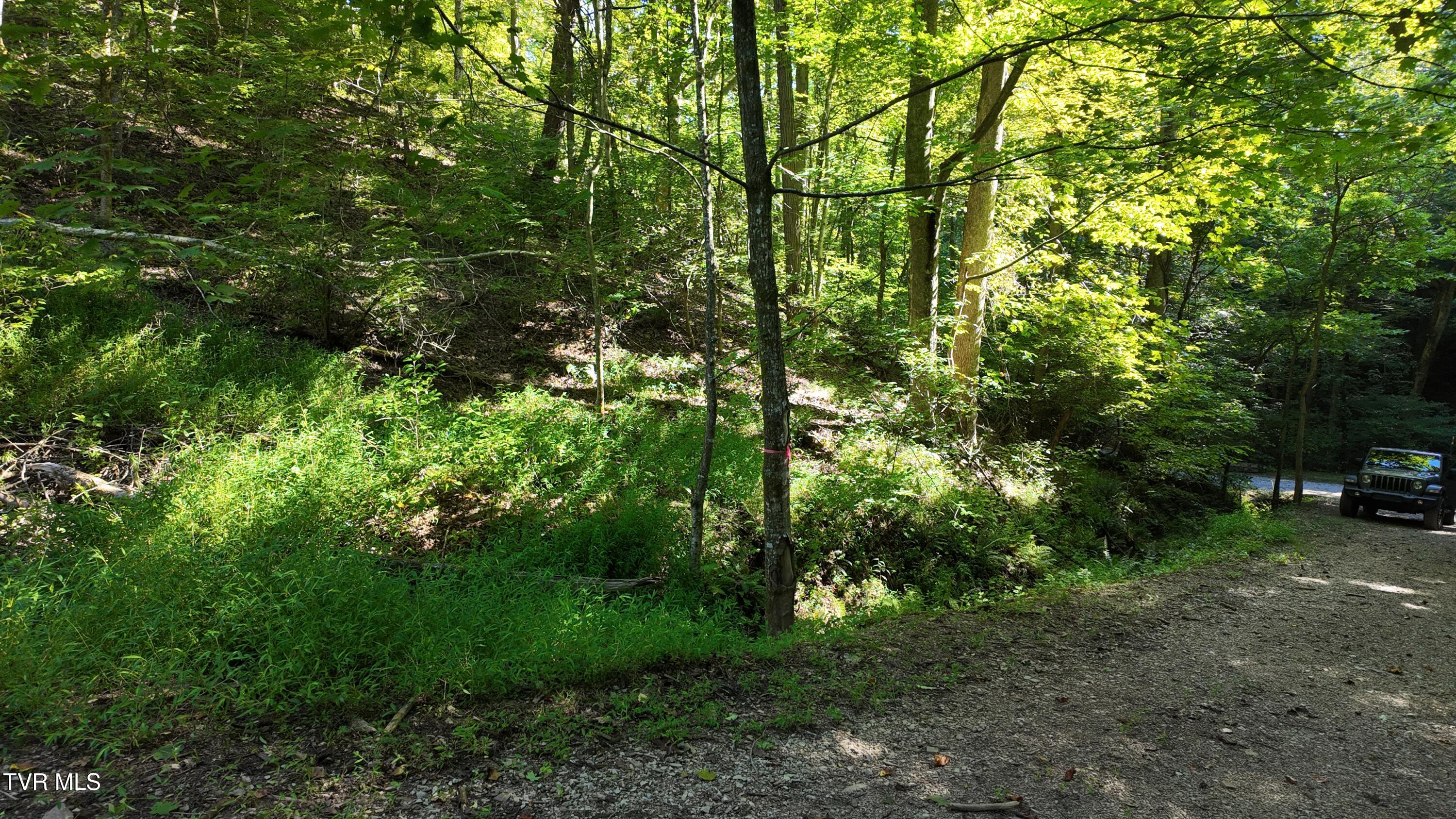 1 Canaan Road Butler, TN 37640 - Photo 70 of 87 dji_mimo_20250827_101142_20250827101143_