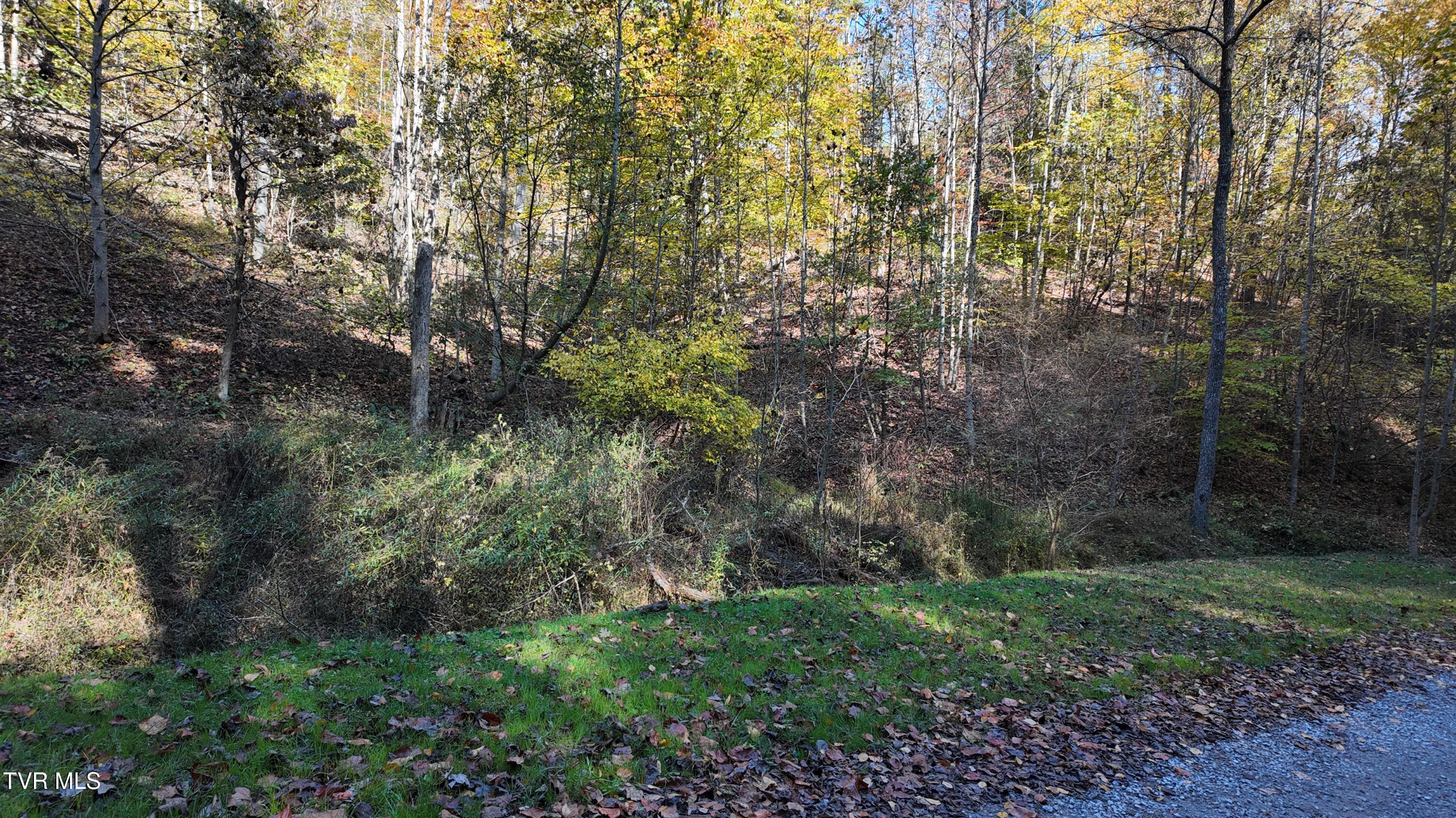 1 Canaan Road Butler, TN 37640 - Photo 7 of 87 dji_mimo_20251018_120652_20251018120653_