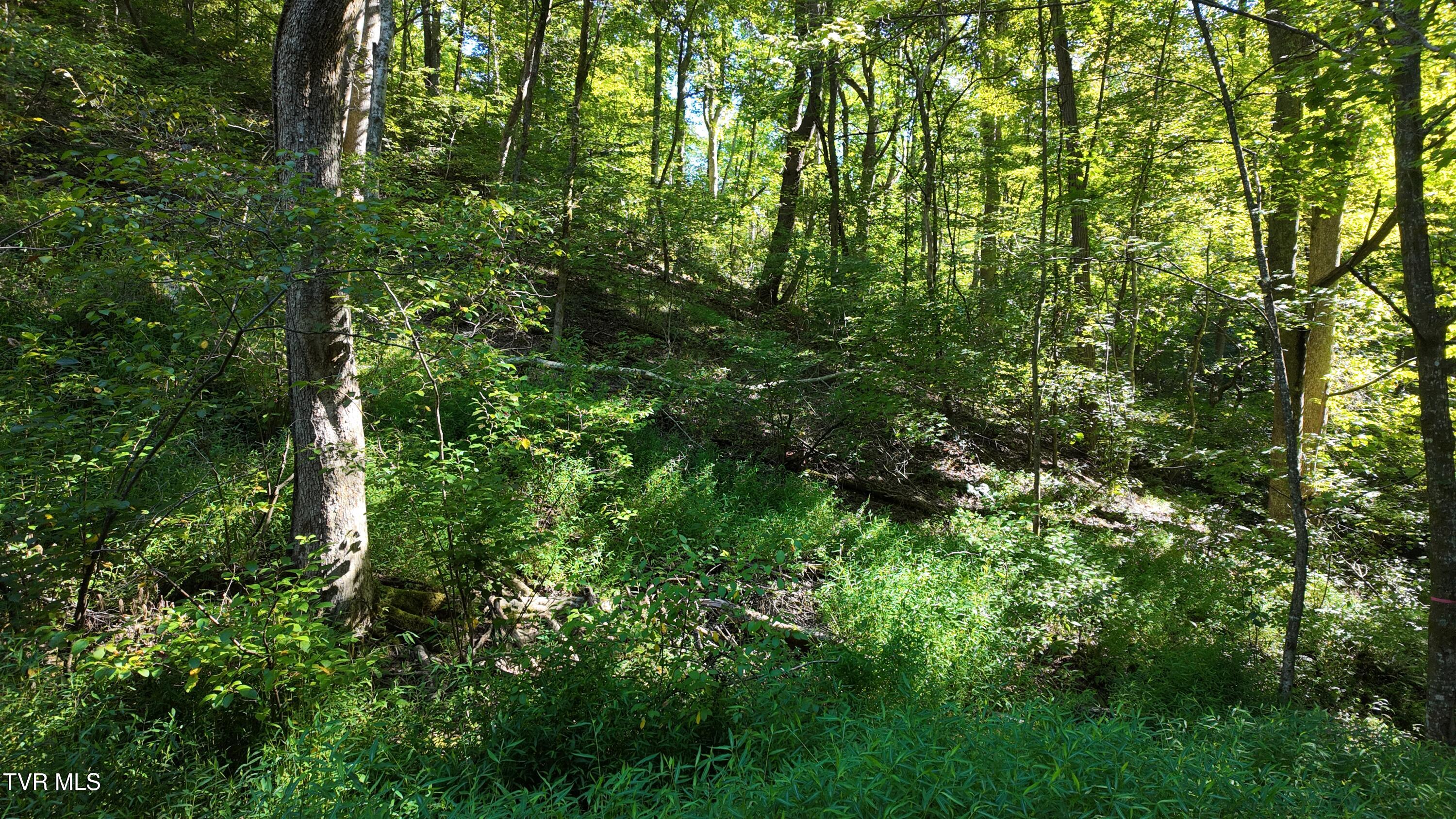 1 Canaan Road Butler, TN 37640 - Photo 72 of 87 dji_mimo_20250827_101154_20250827101154_