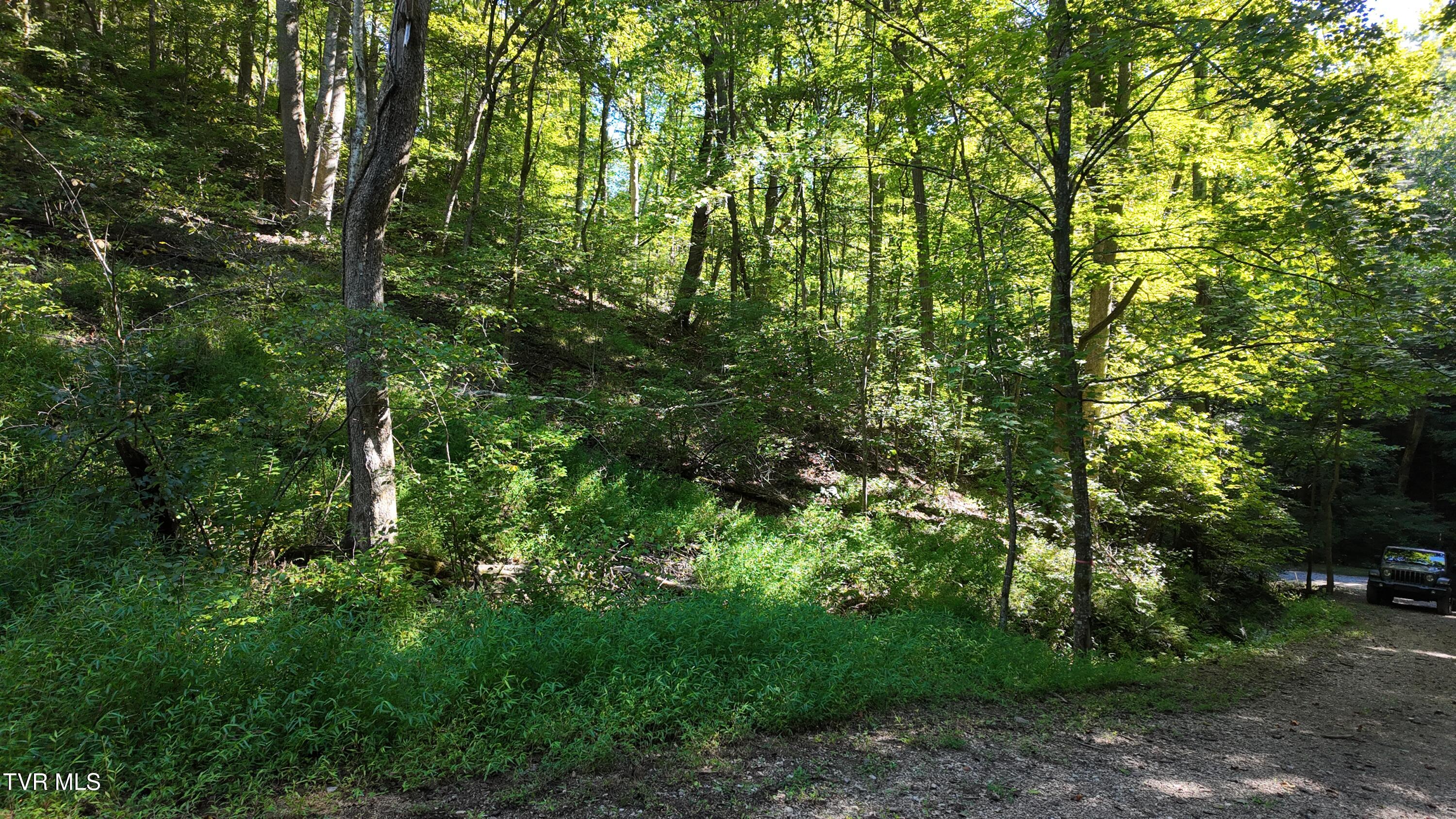 1 Canaan Road Butler, TN 37640 - Photo 73 of 87 dji_mimo_20250827_101204_20250827101204_