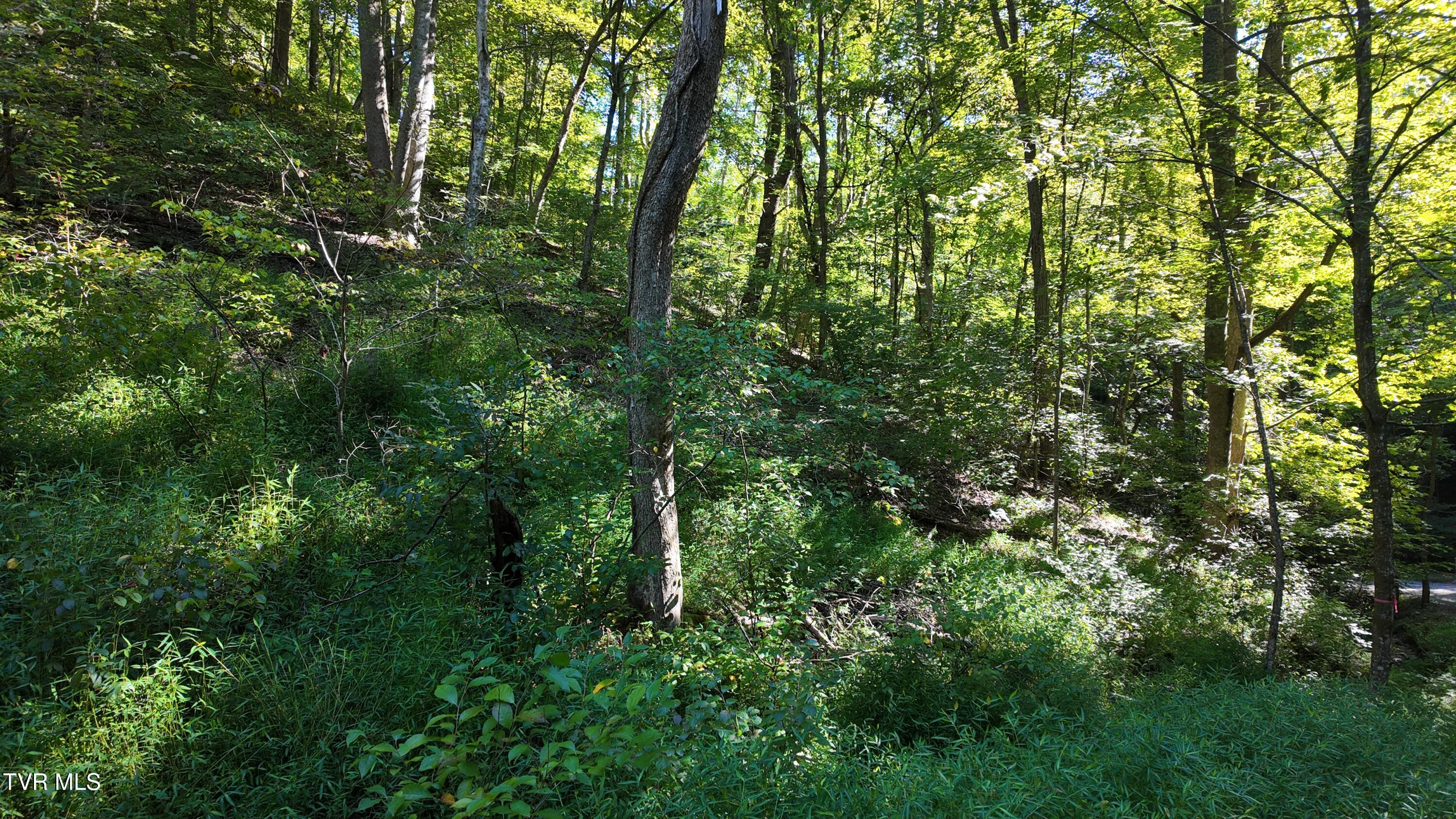 1 Canaan Road Butler, TN 37640 - Photo 74 of 87 dji_mimo_20250827_101214_20250827101213_