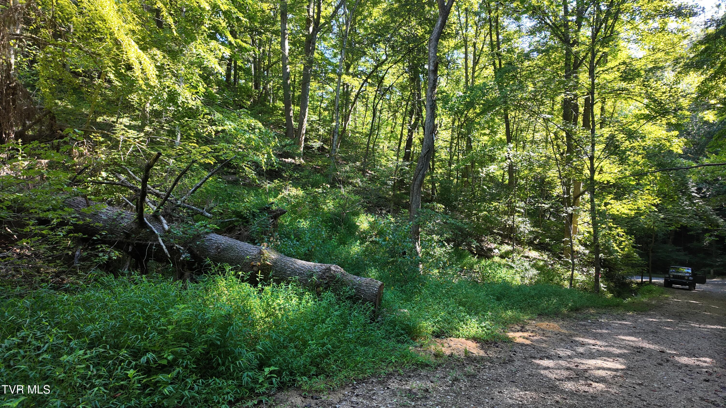 1 Canaan Road Butler, TN 37640 - Photo 76 of 87 dji_mimo_20250827_101230_20250827101229_