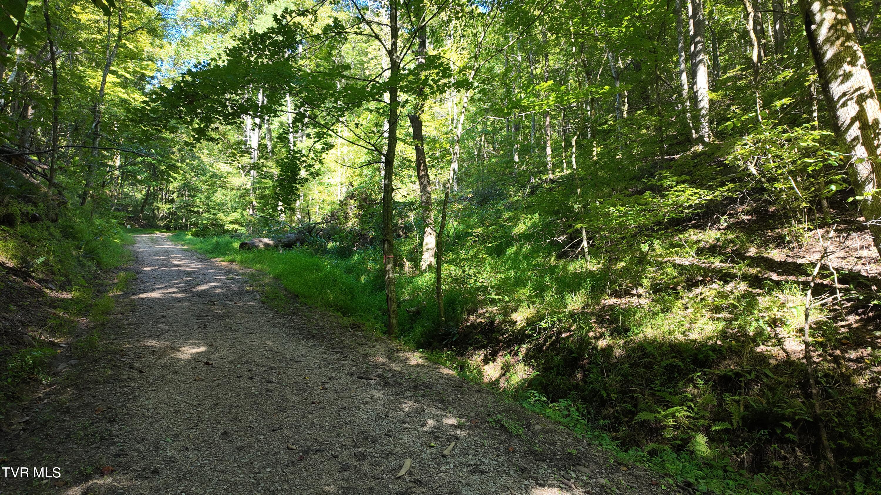 1 Canaan Road Butler, TN 37640 - Photo 78 of 87 dji_mimo_20250827_101258_20250827101258_