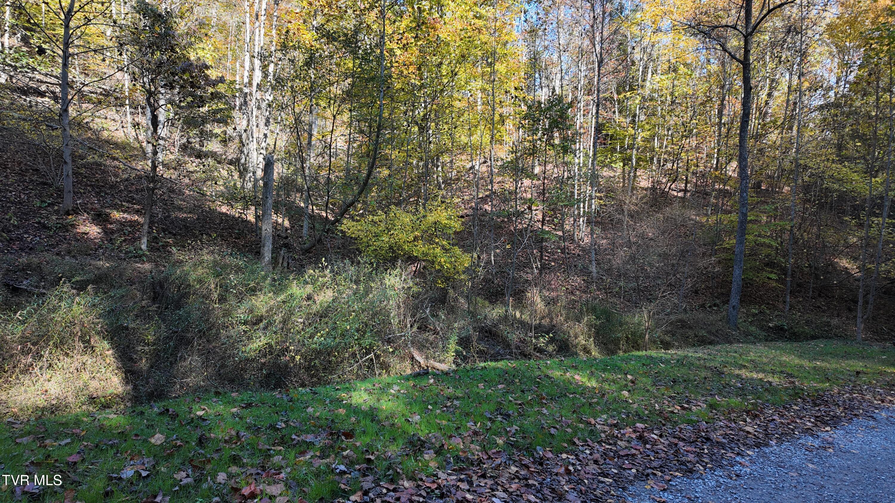 1 Canaan Road Butler, TN 37640 - Photo 8 of 87 dji_mimo_20251018_120656_20251018120656_