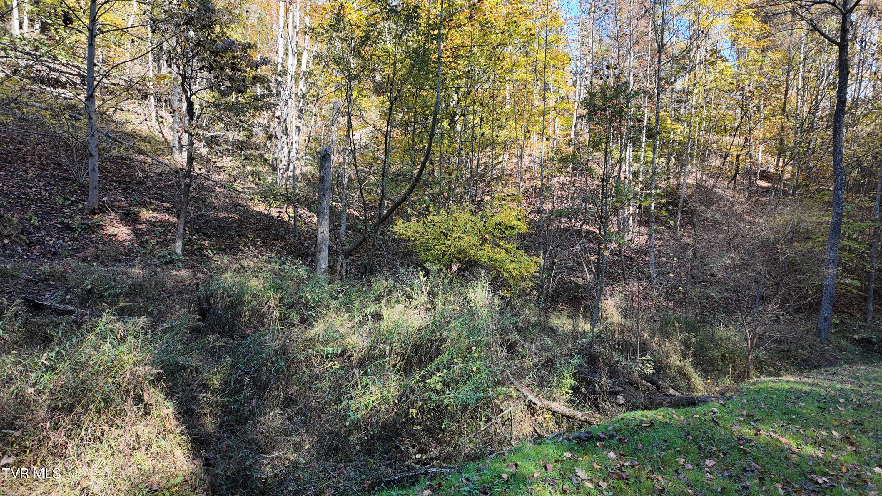 1 Canaan Road Butler, TN 37640 - Photo 9 of 87 dji_mimo_20251018_120702_20251018120701_