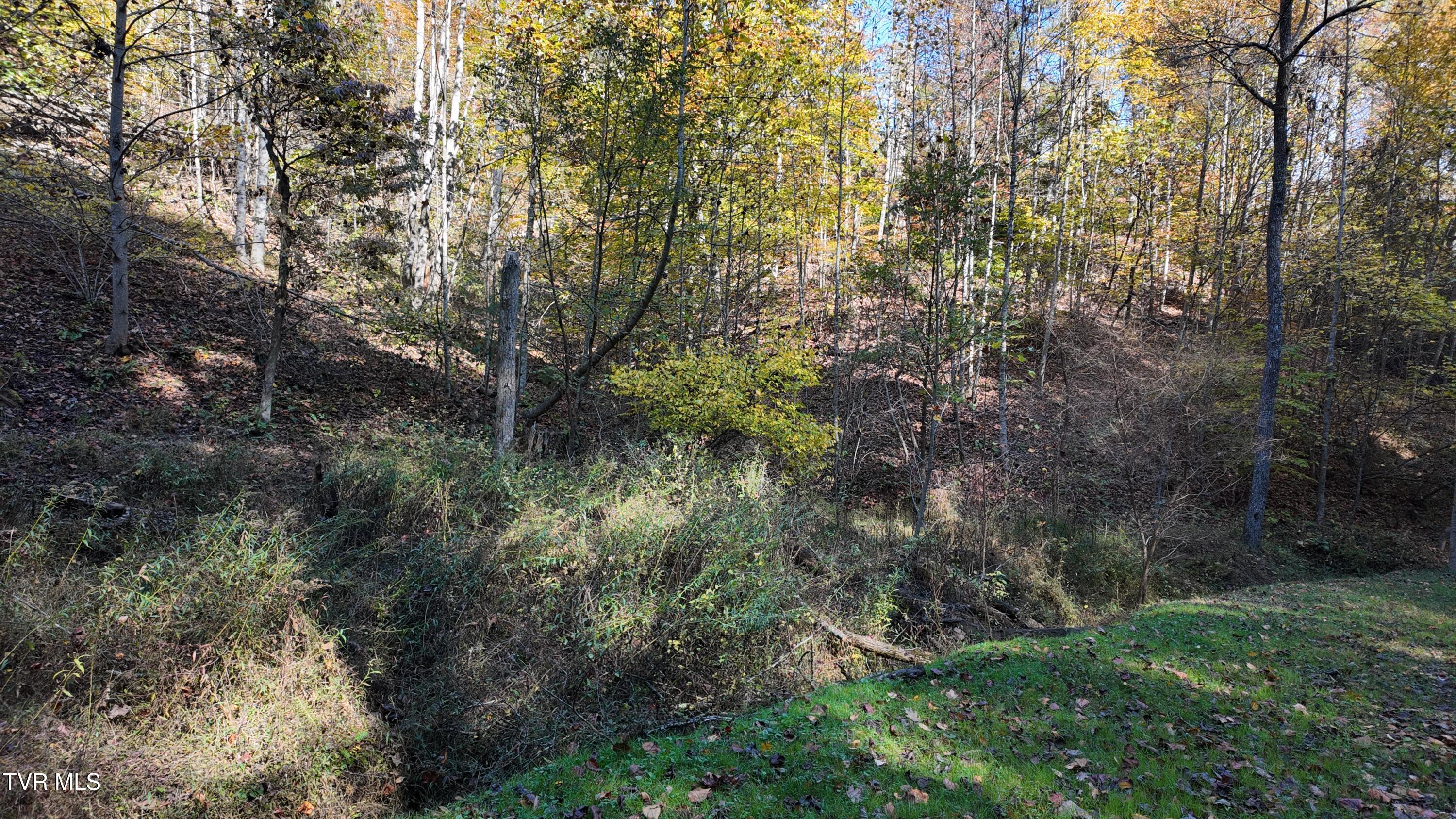 1 Canaan Road Butler, TN 37640 - Photo 10 of 87 dji_mimo_20251018_120704_20251018120705_