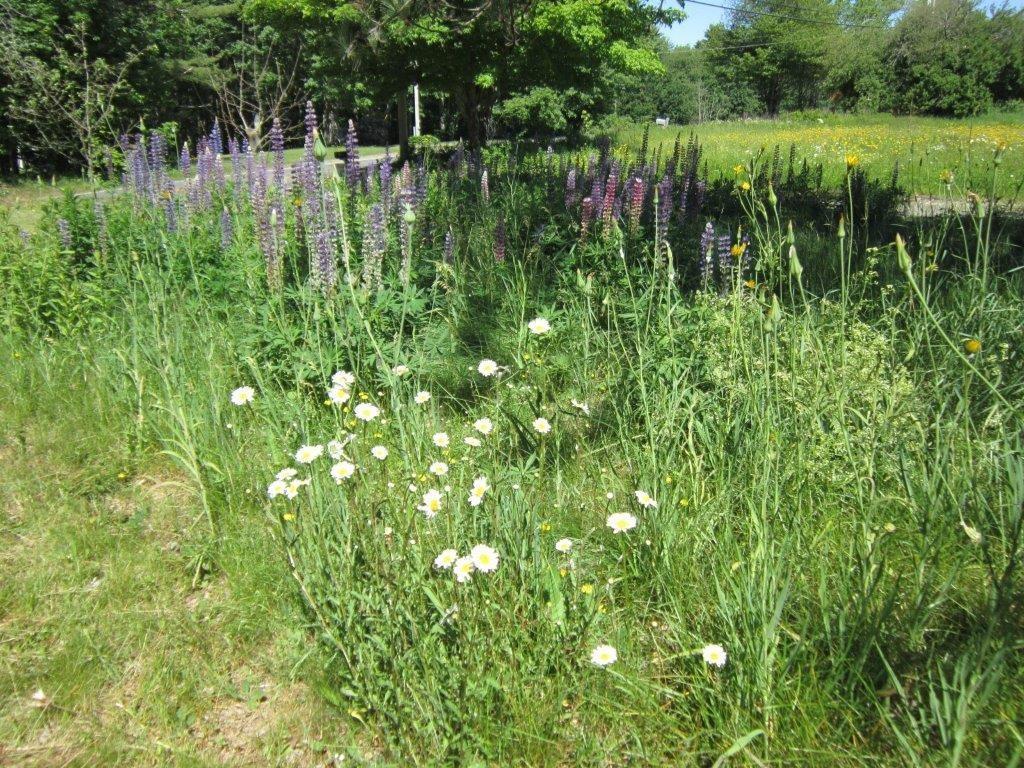 2137 Washington Road Waldoboro, ME 04572 - Photo 2 of 23 Photo
